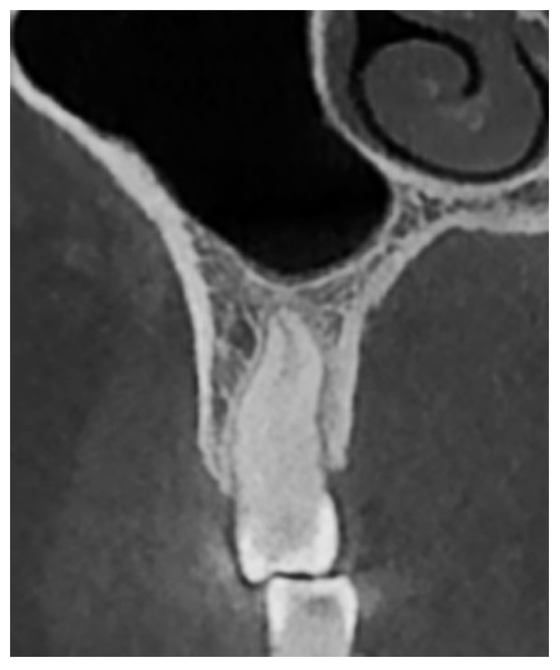 Diagnostics 15 01741 g005