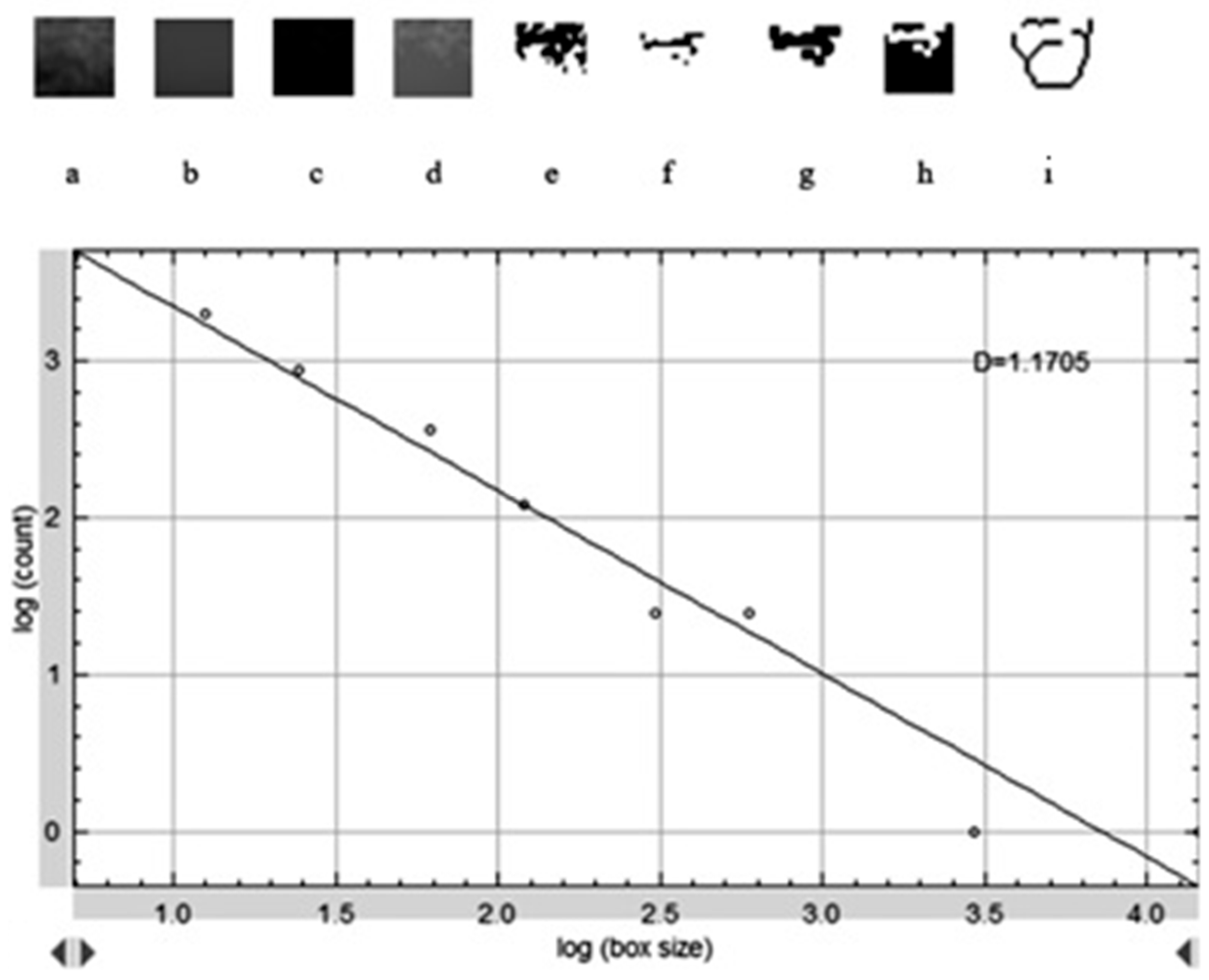 Diagnostics 15 01742 g003