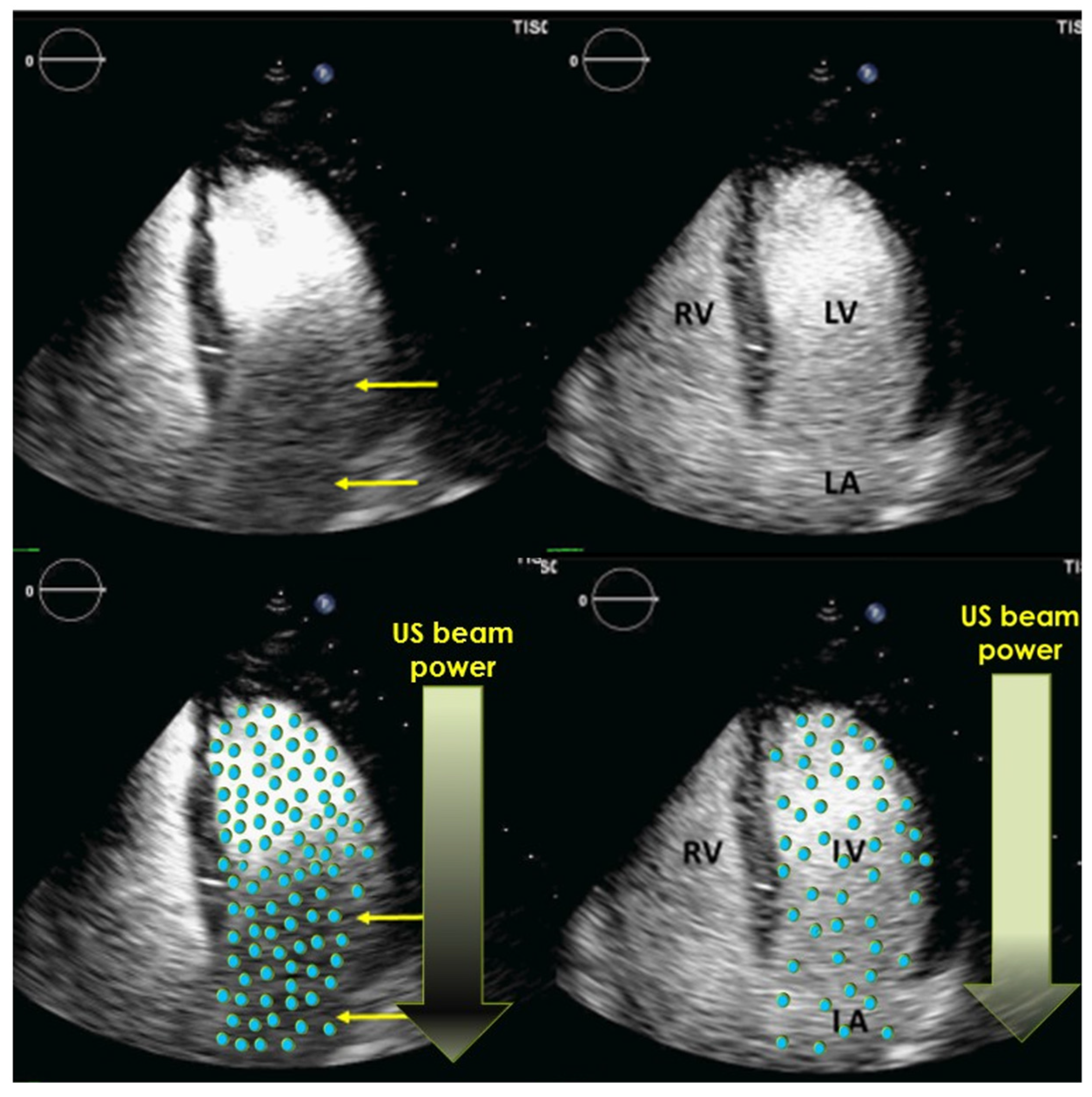 Diagnostics 15 01743 g004 Diagnostics 15 01743 g004