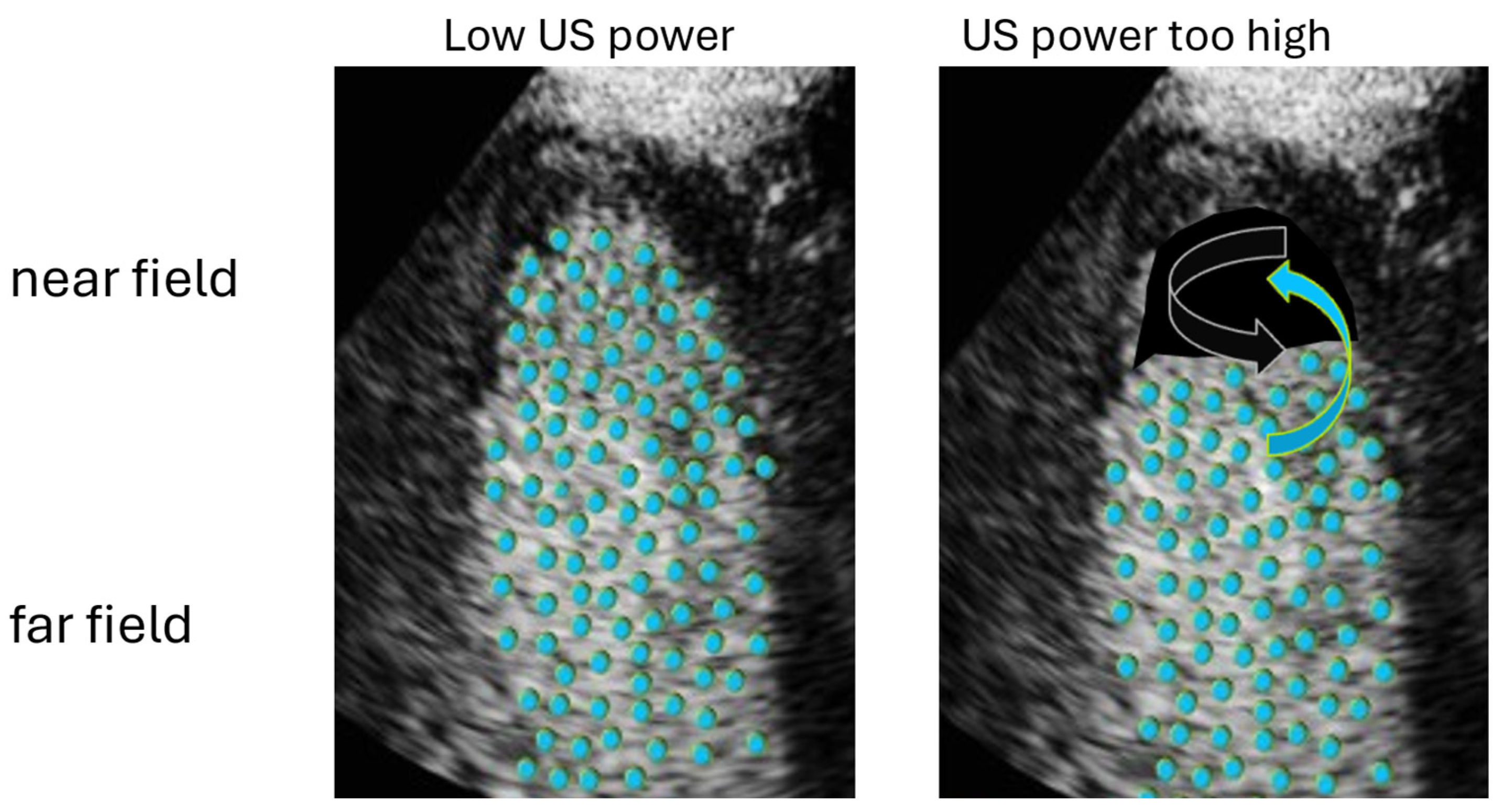 Diagnostics 15 01743 g005 Diagnostics 15 01743 g005