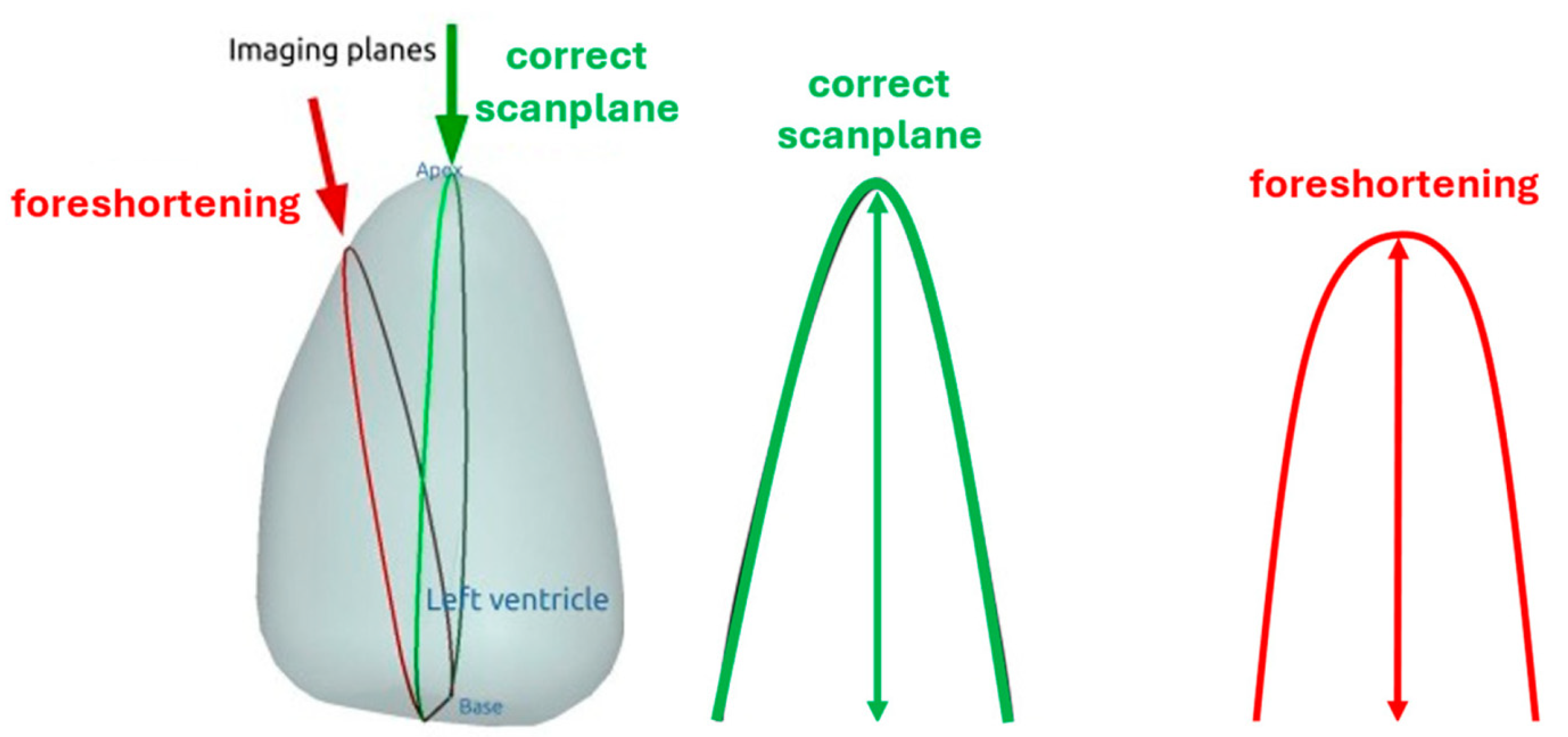 Diagnostics 15 01743 g008 Diagnostics 15 01743 g008