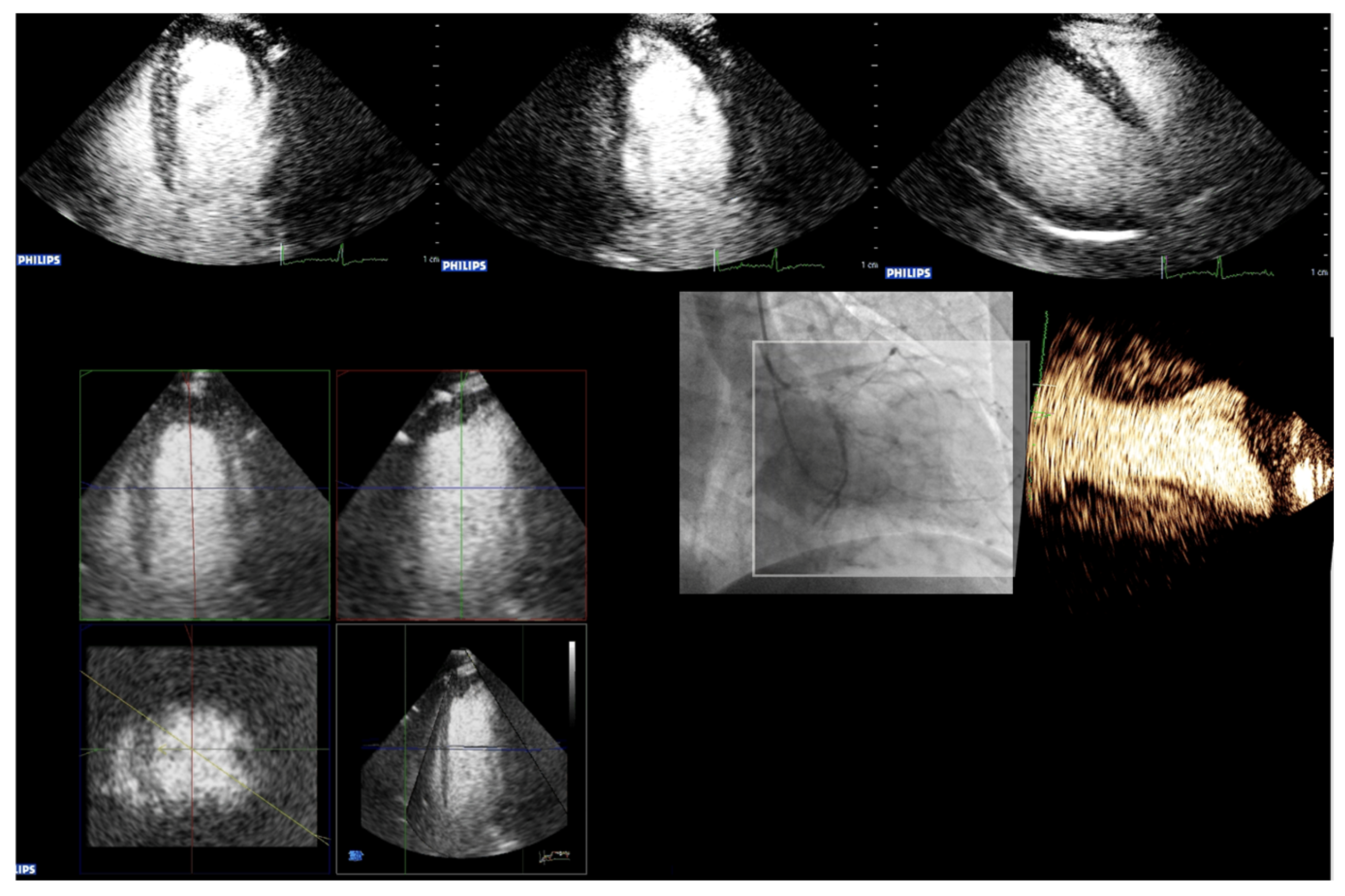 Diagnostics 15 01743 g012 Diagnostics 15 01743 g012