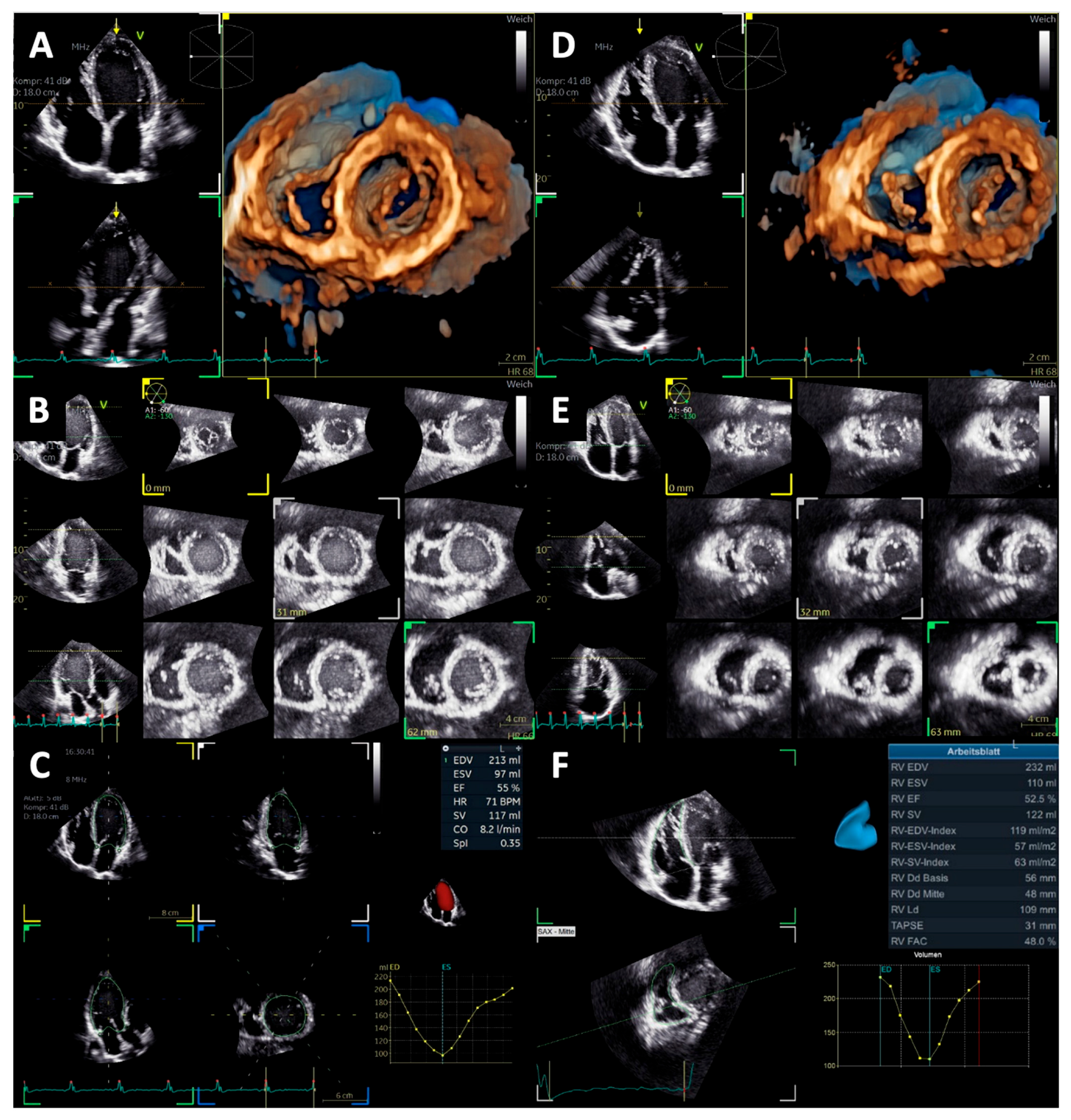 Diagnostics 15 01745 g001