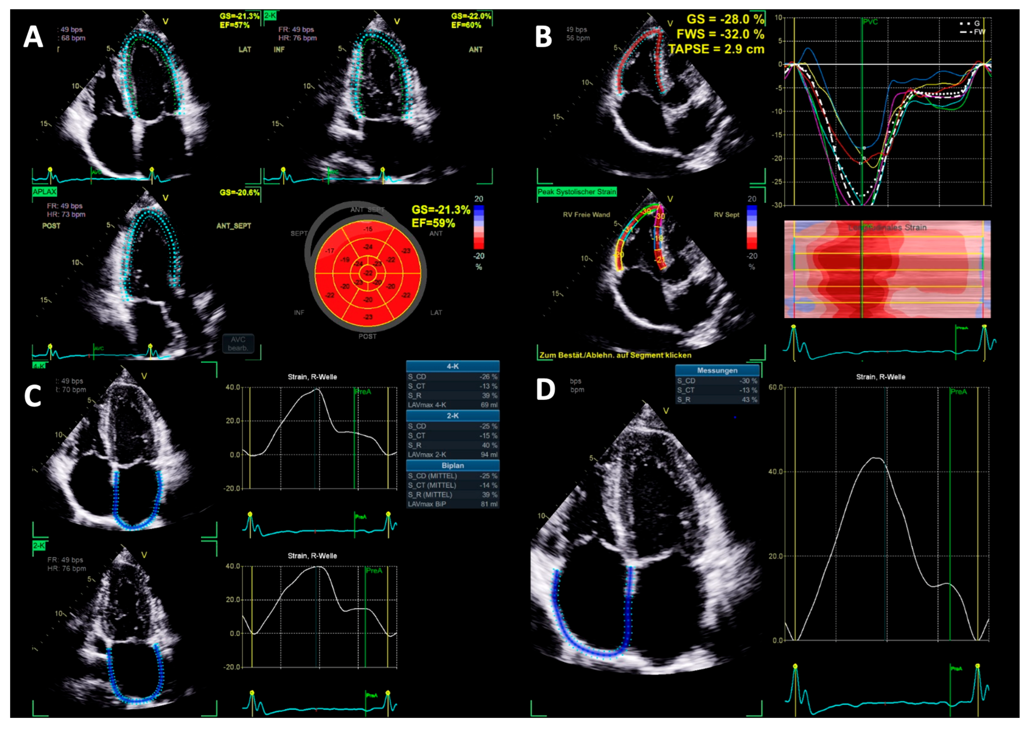 Diagnostics 15 01745 g002