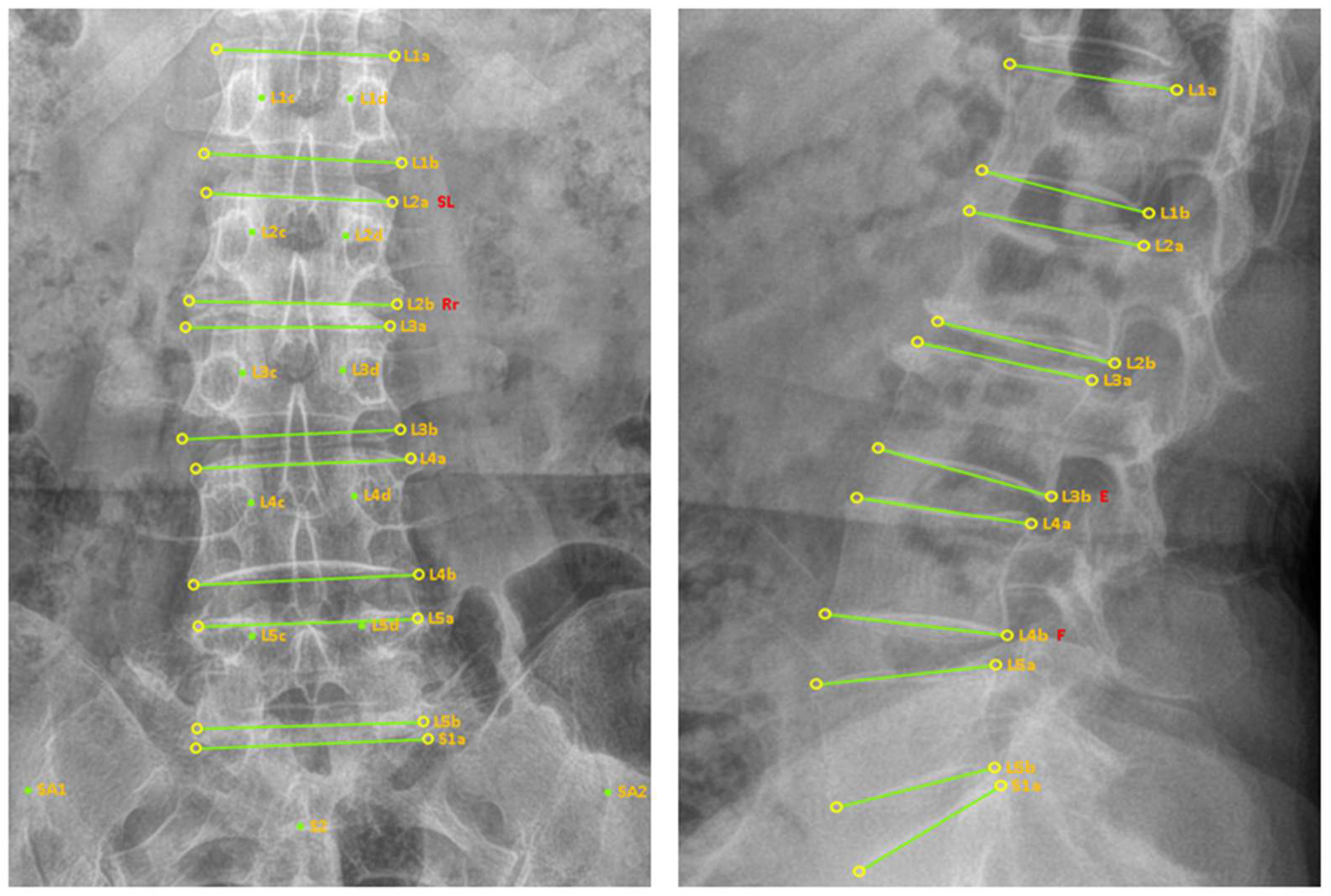 Diagnostics 15 01748 g001