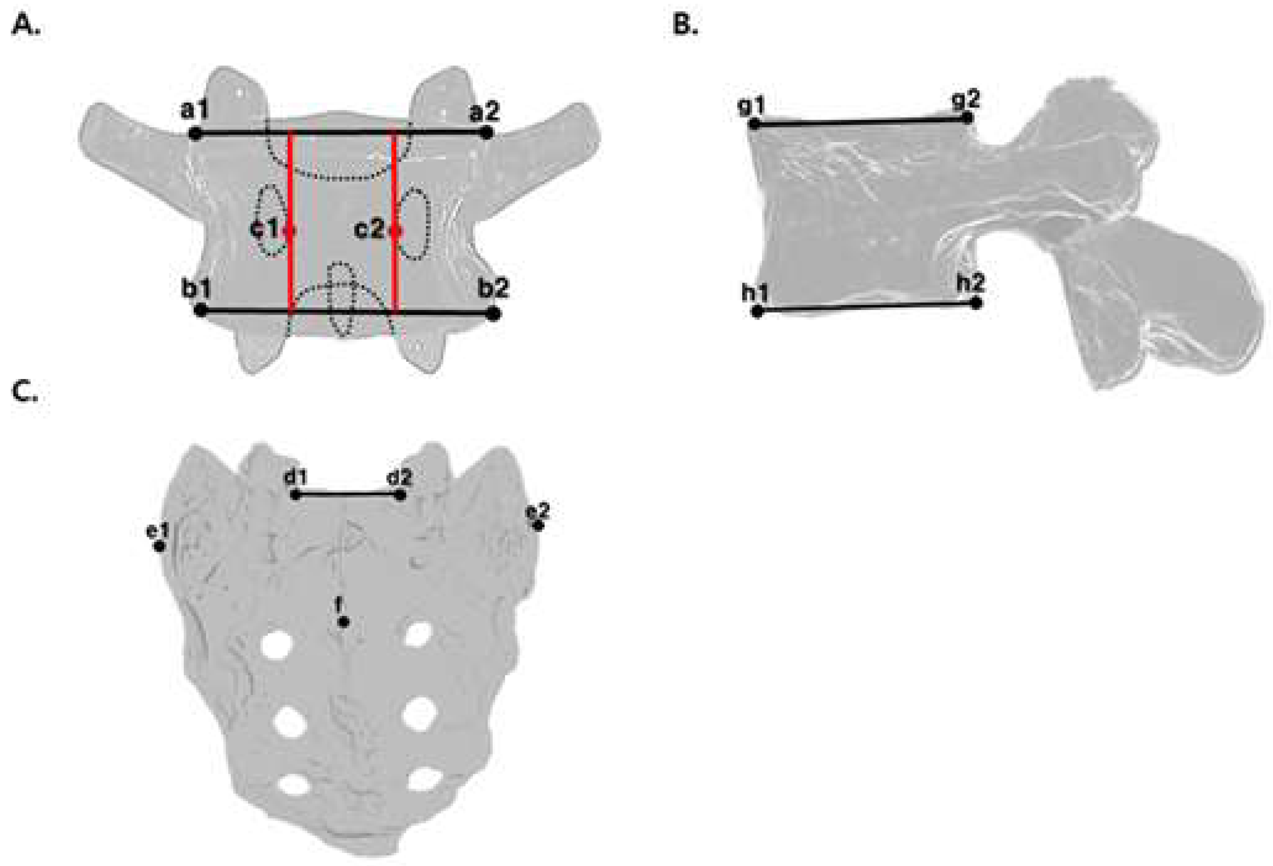 Diagnostics 15 01748 g002