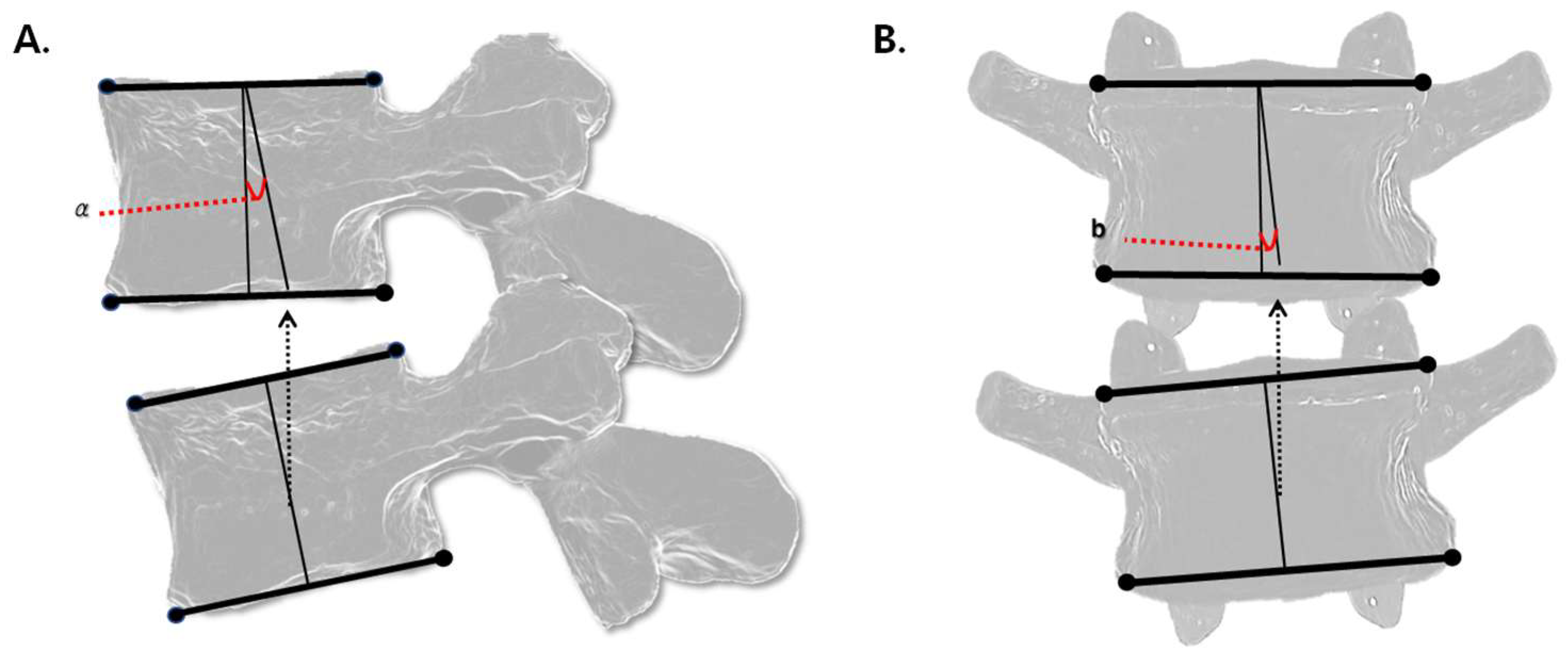 Diagnostics 15 01748 g003