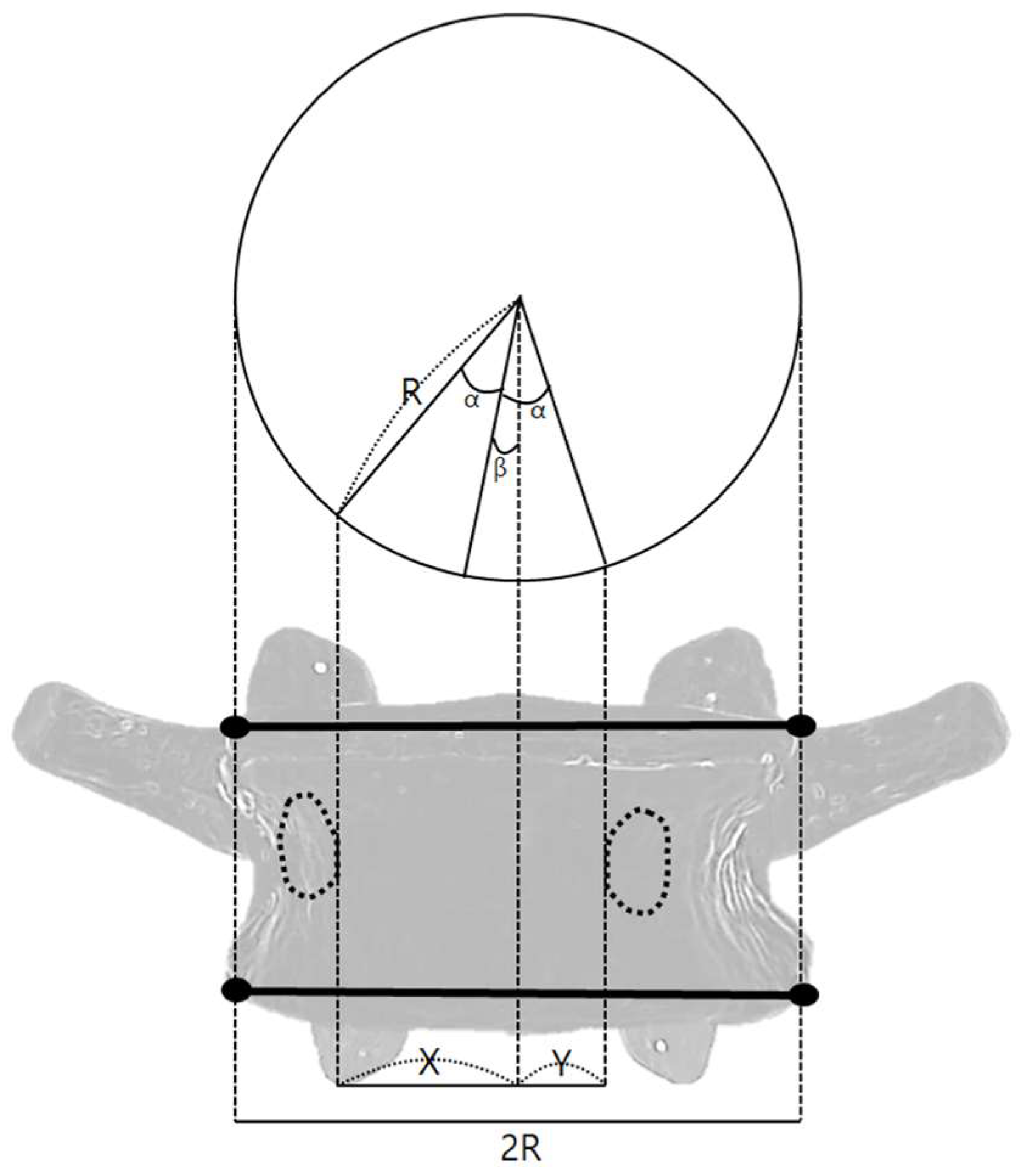 Diagnostics 15 01748 g004