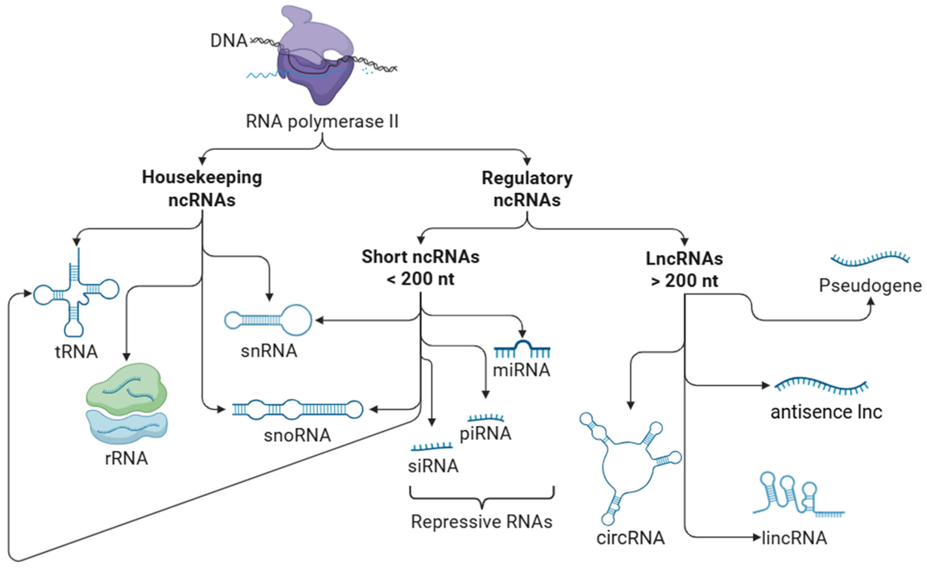 Diagnostics 15 01750 g001