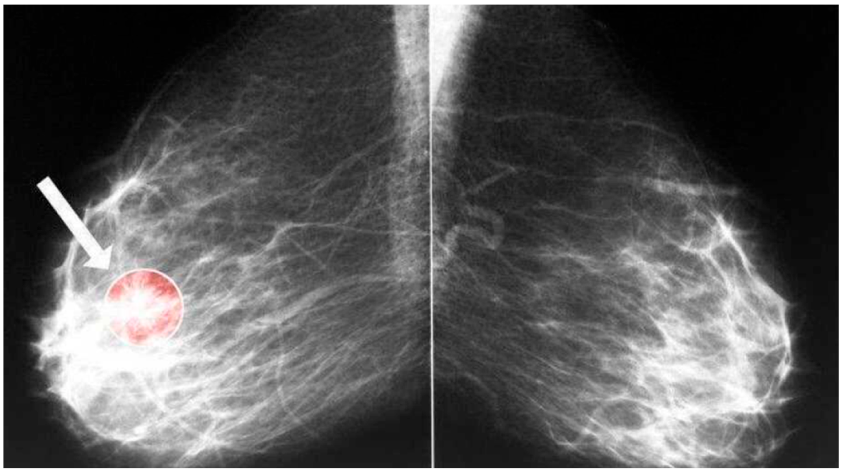 Diagnostics 15 01751 g001