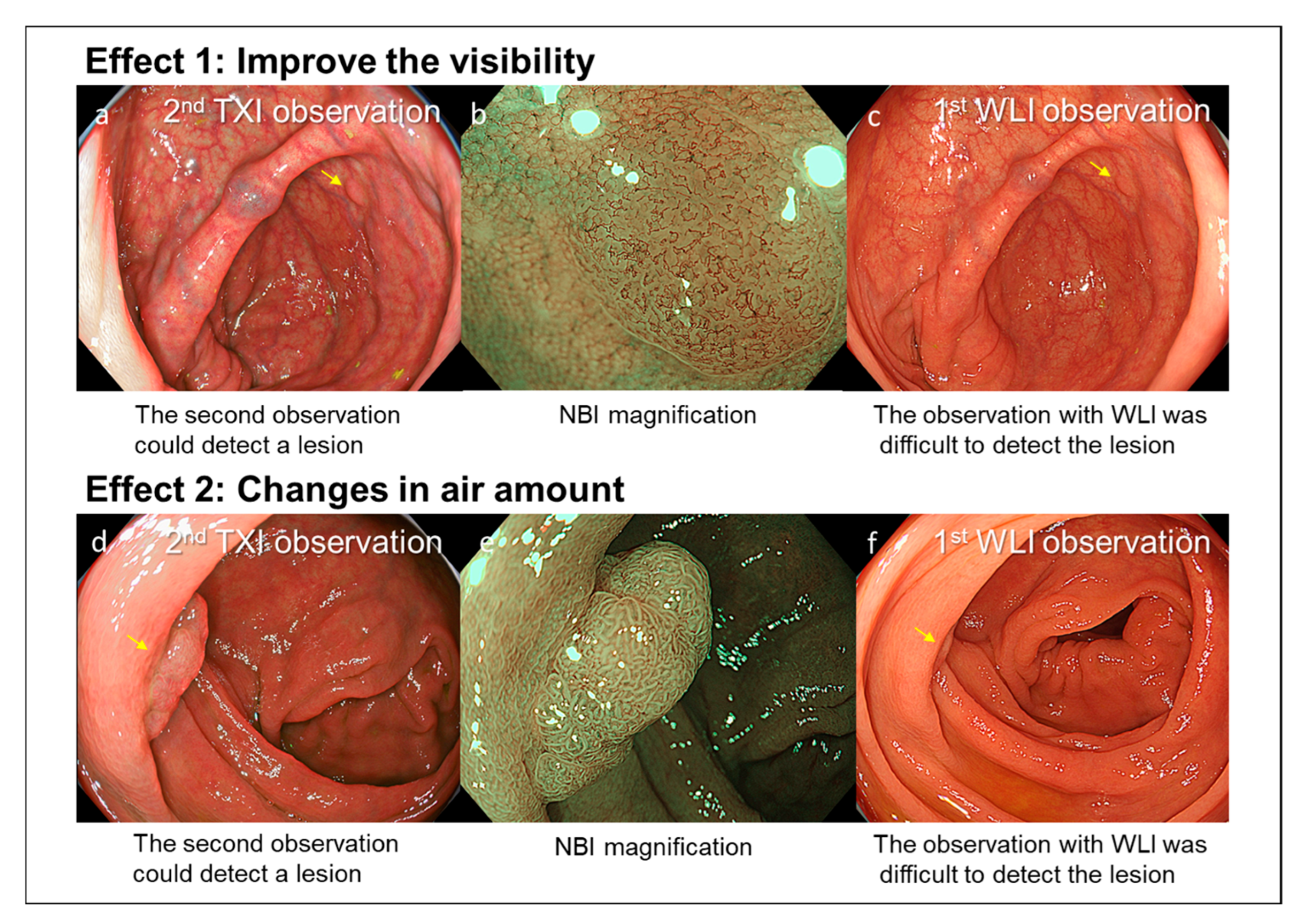 Diagnostics 15 01759 g002
