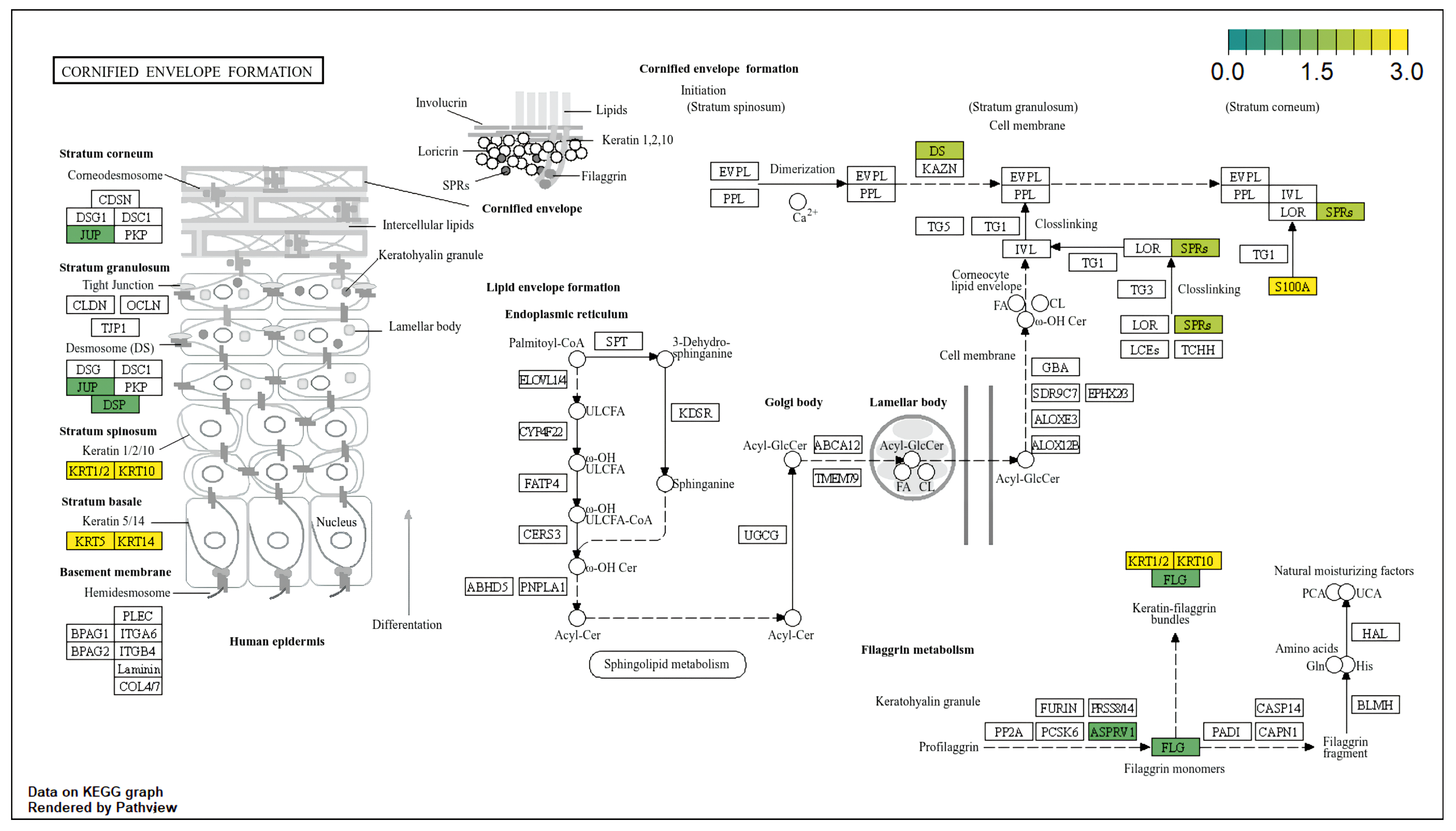 Diagnostics 15 01770 g006