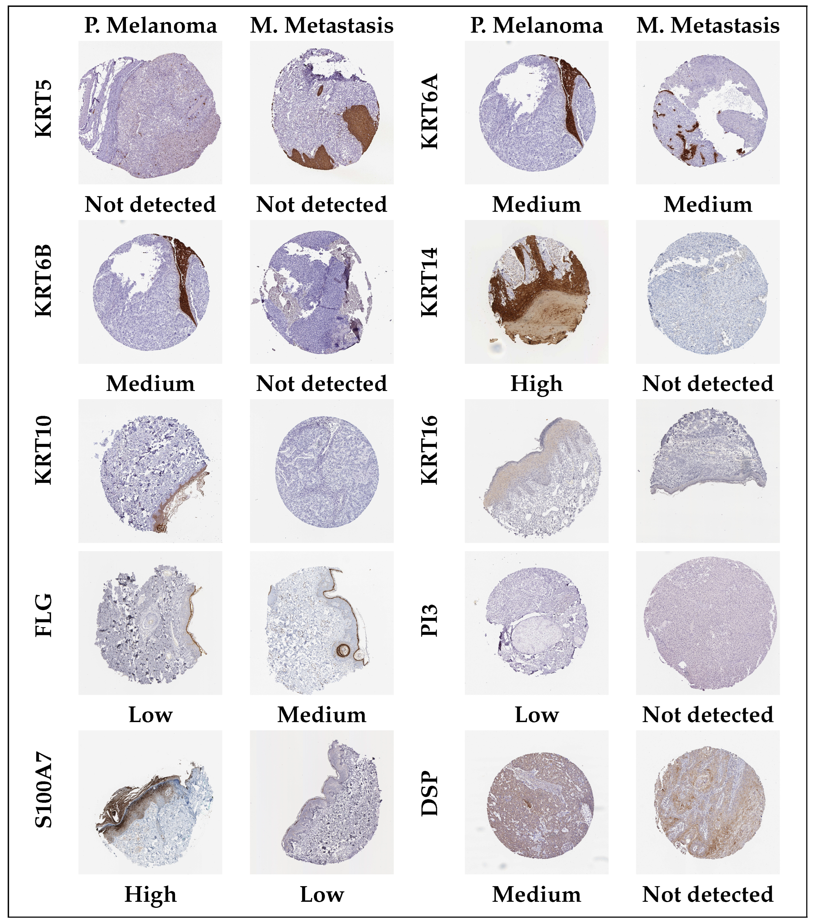 Diagnostics 15 01770 g009