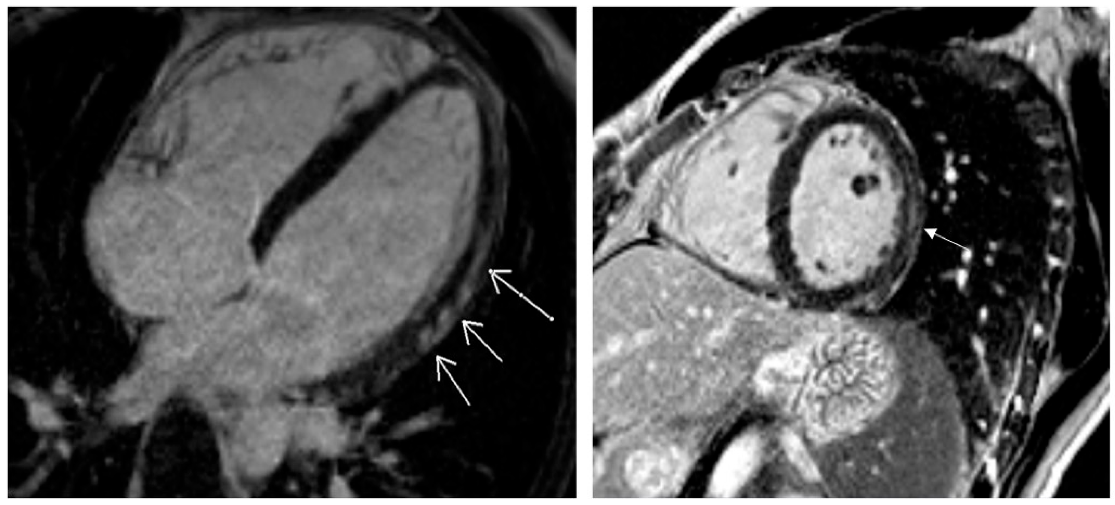 Diagnostics 15 01771 g003