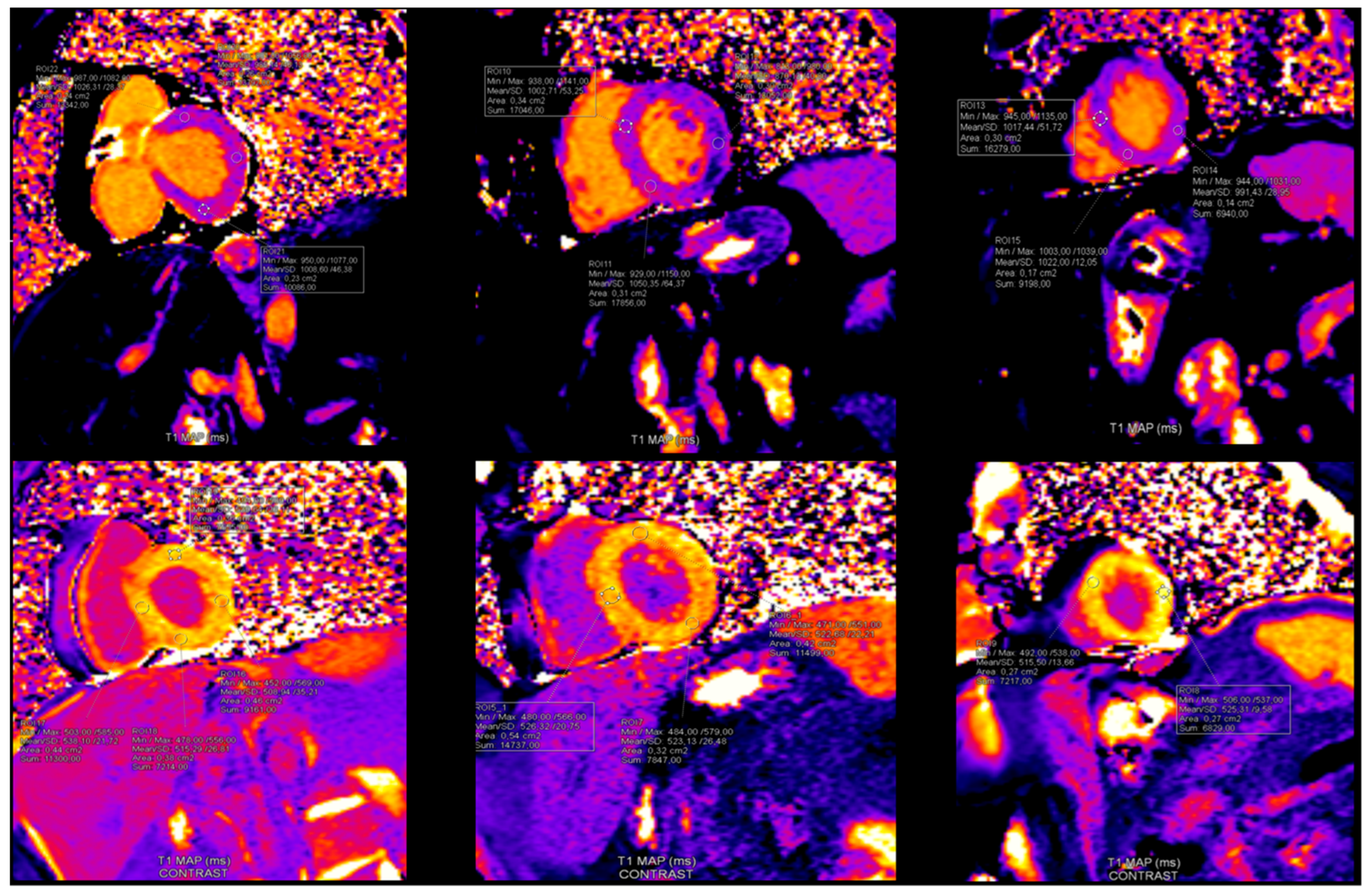 Diagnostics 15 01771 g004