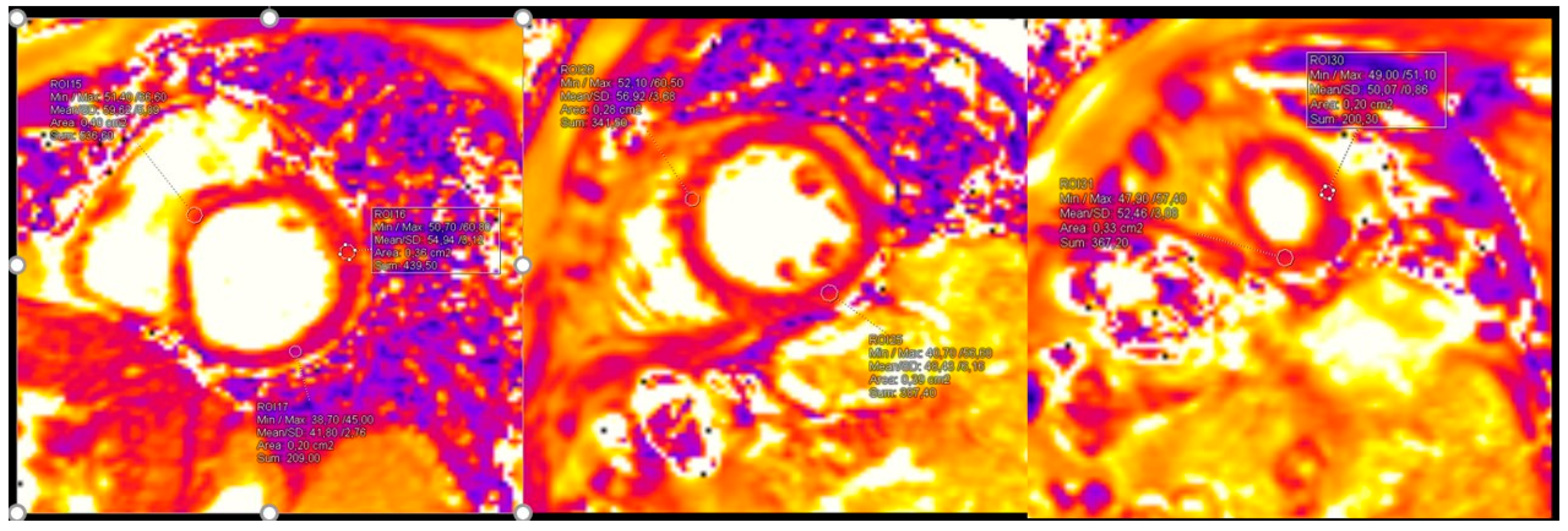 Diagnostics 15 01771 g005