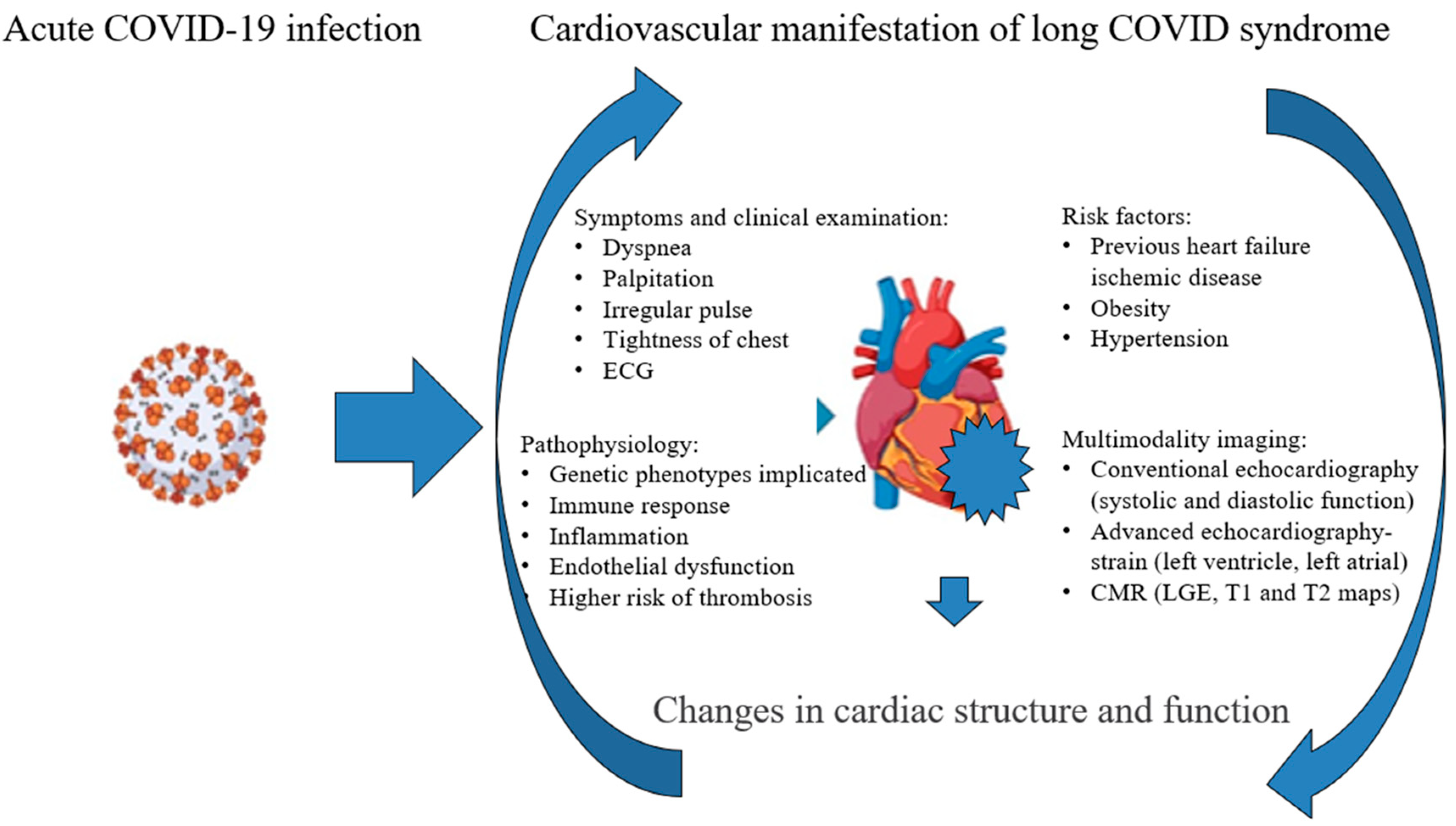 Diagnostics 15 01771 g007