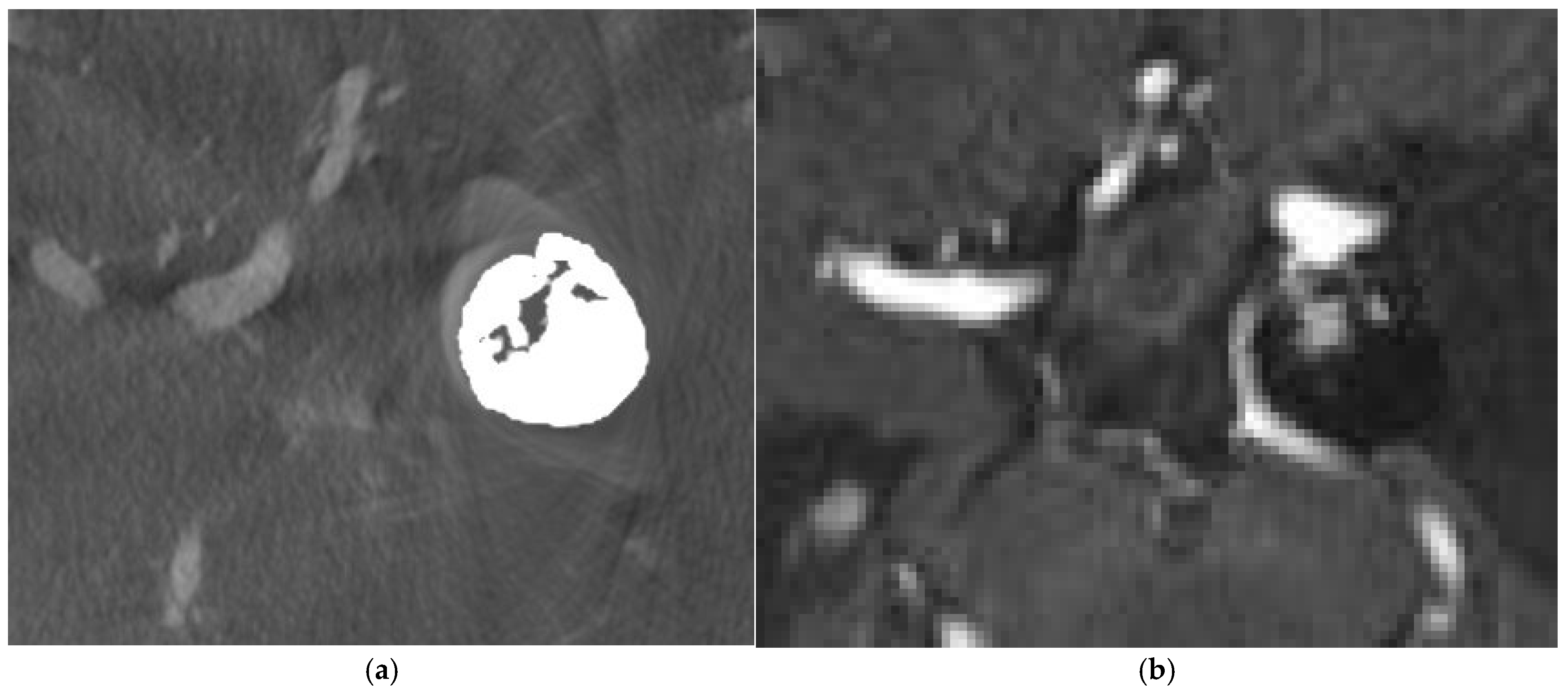 Diagnostics 15 01774 g001