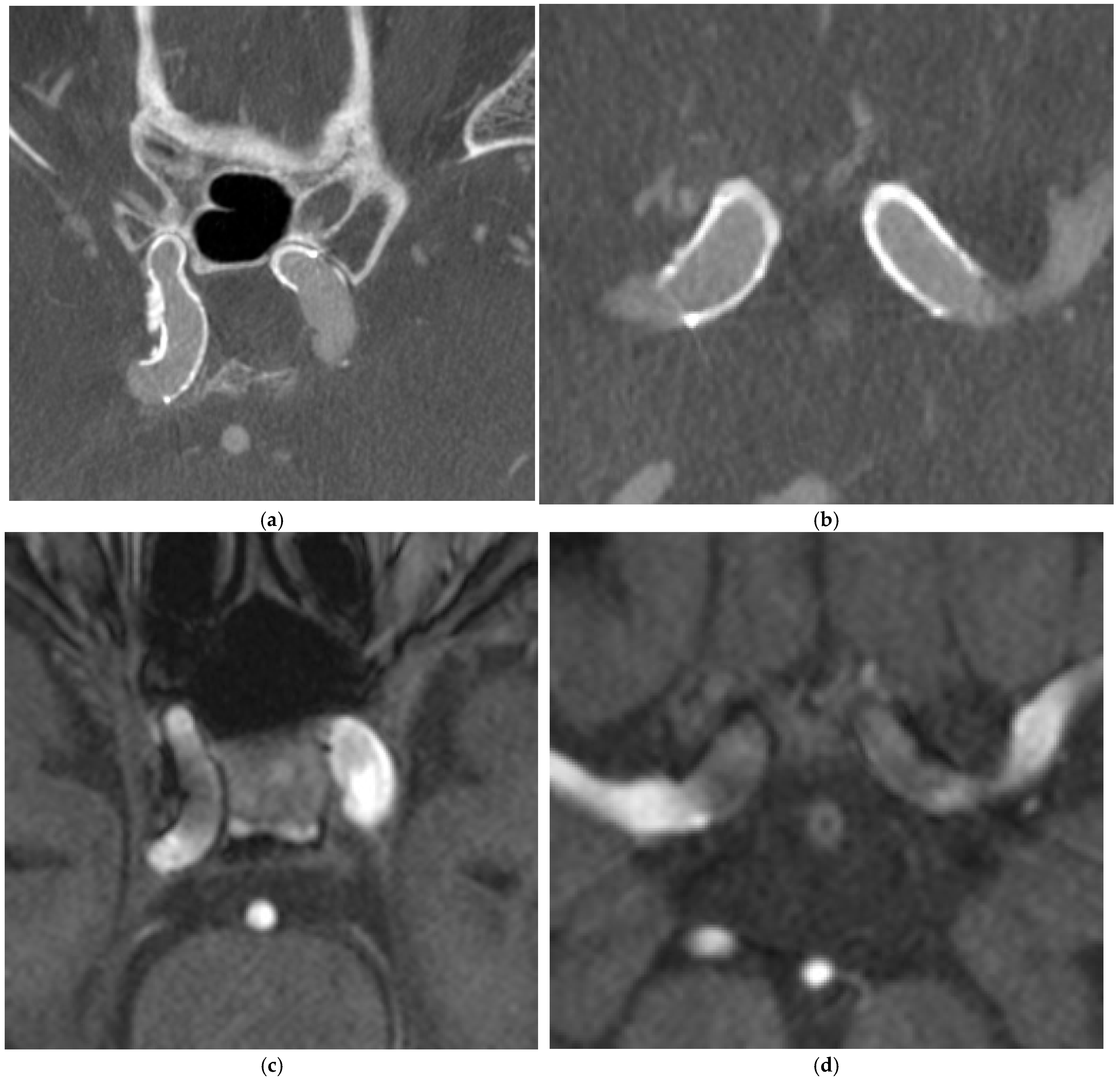 Diagnostics 15 01774 g002