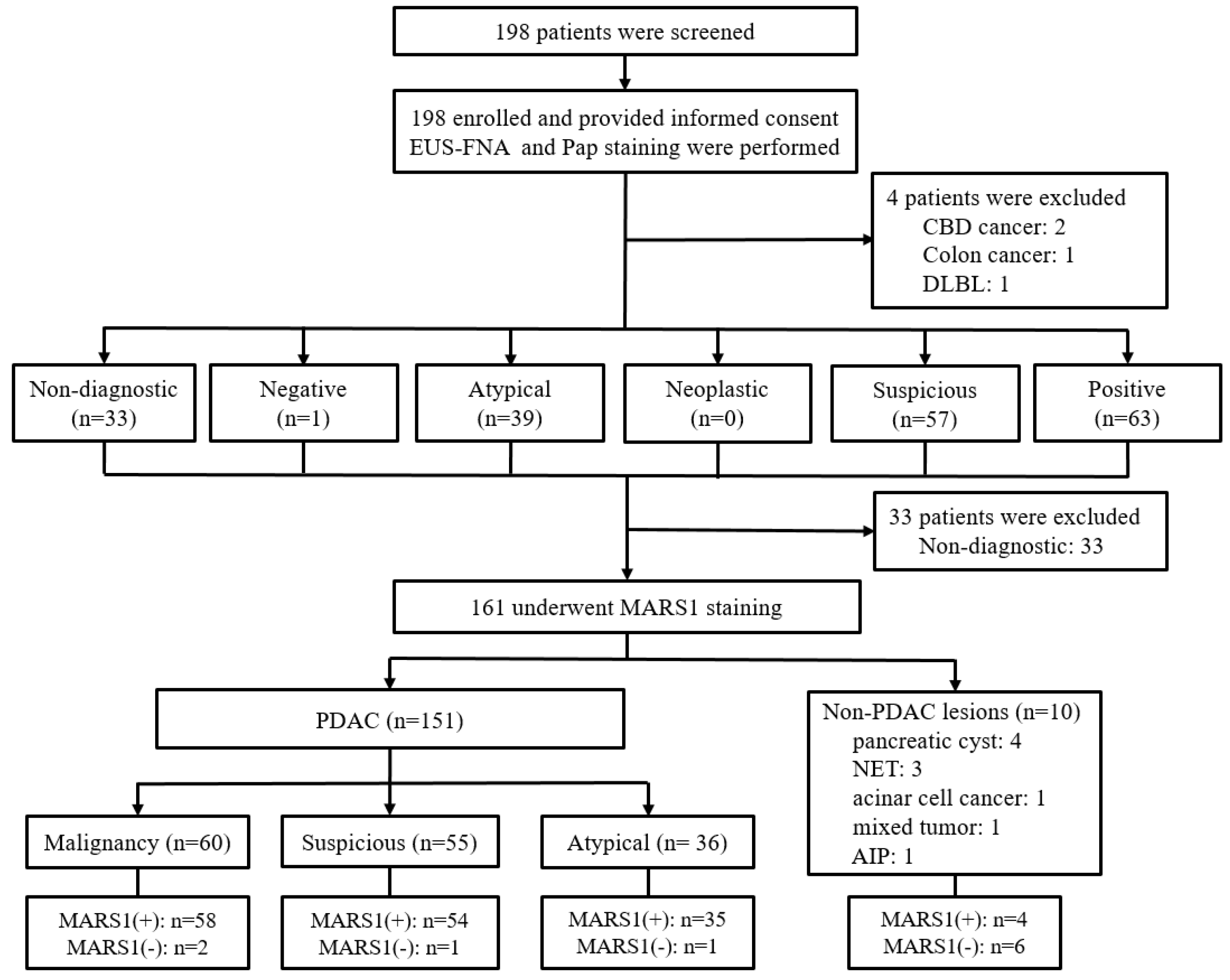 Diagnostics 15 01783 g001