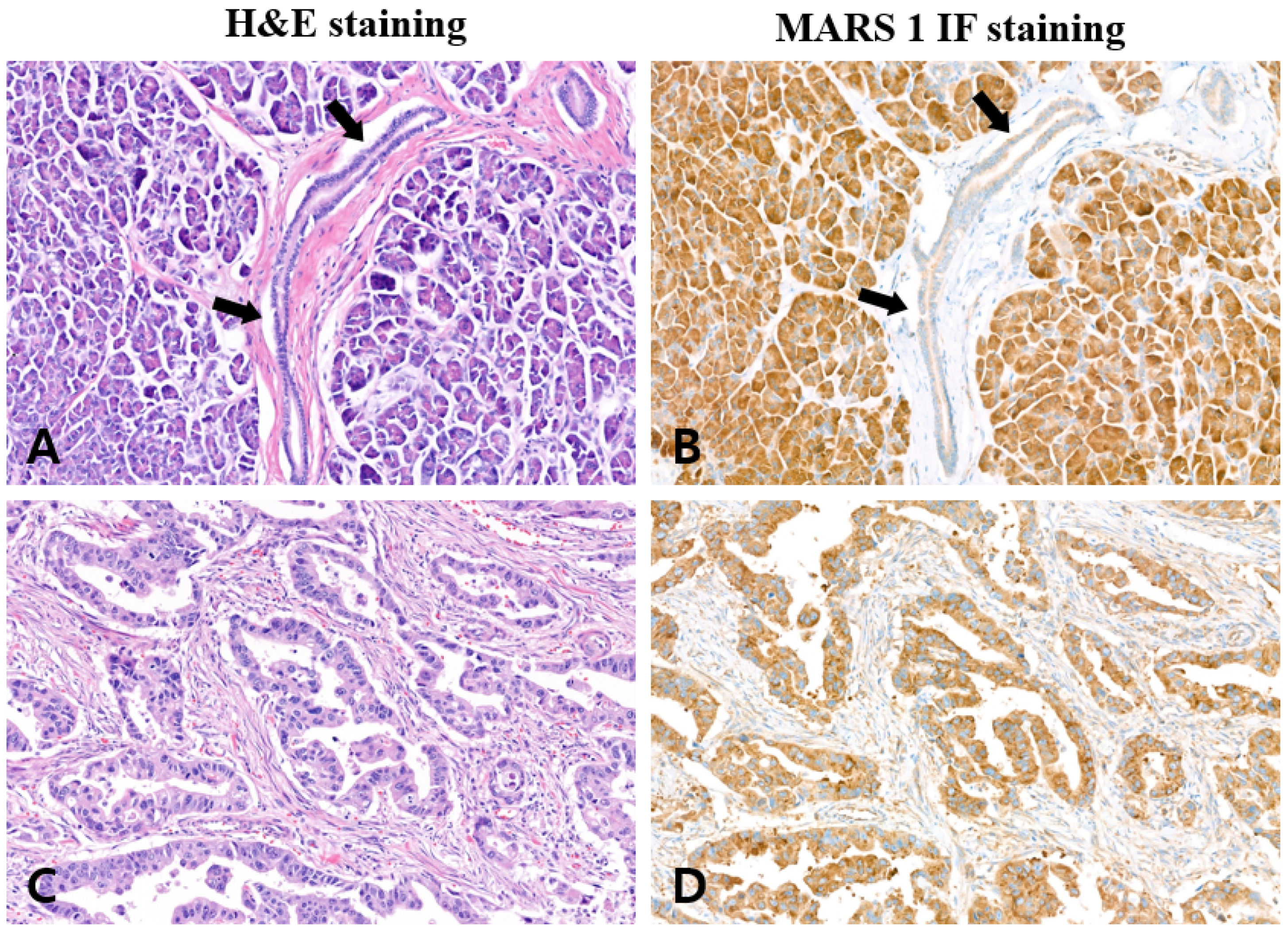 Diagnostics 15 01783 g0a1