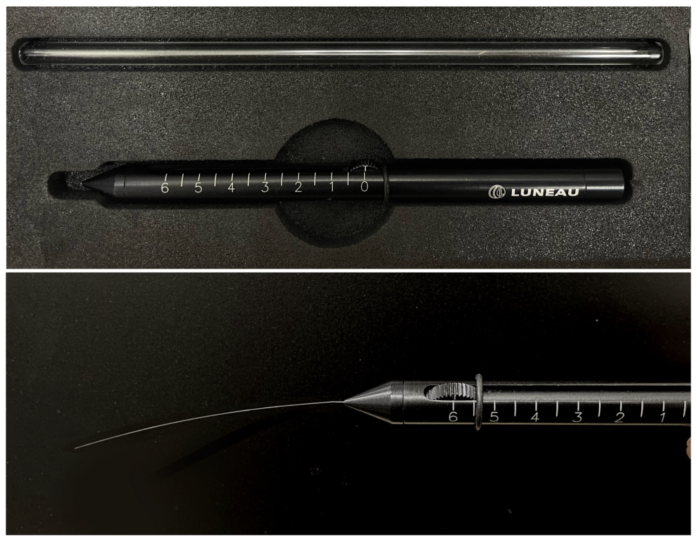 Diagnostics 15 01785 g002