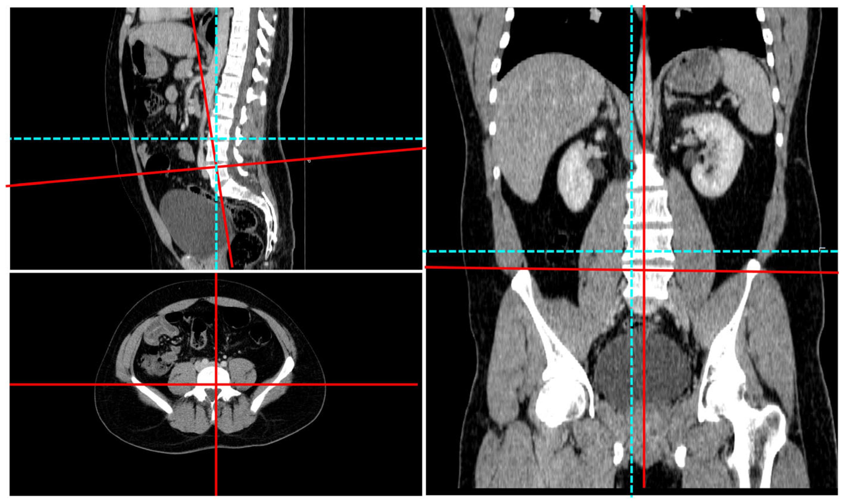 Diagnostics 15 01794 g001