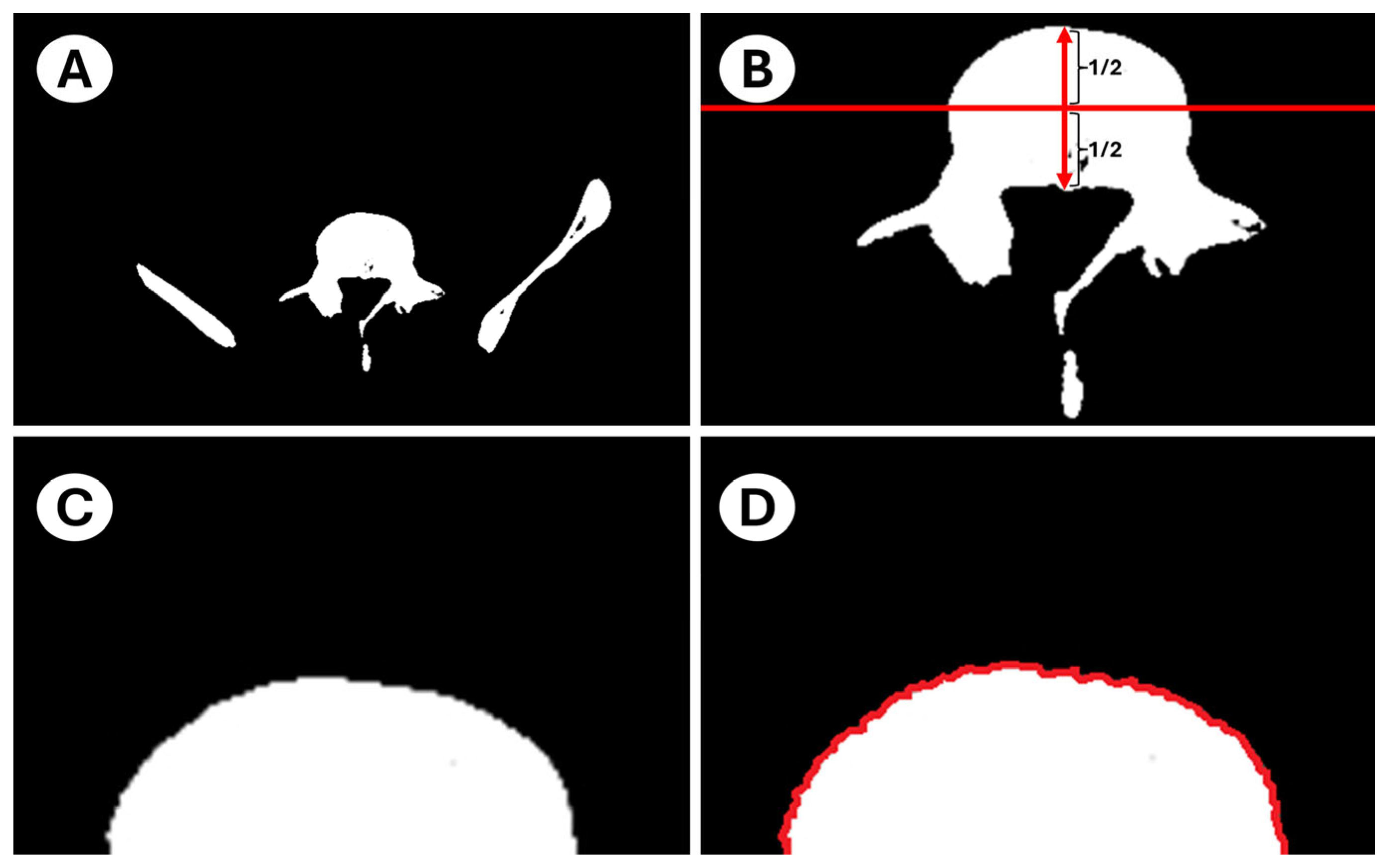 Diagnostics 15 01794 g002