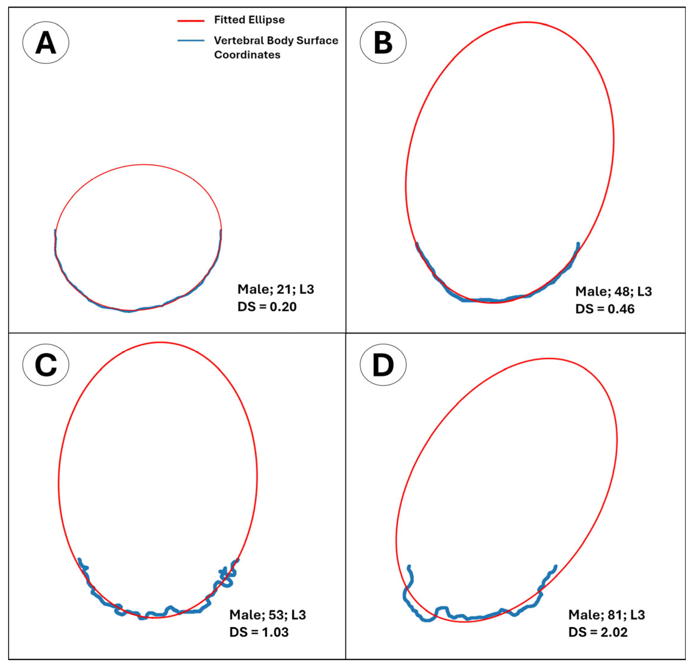 Diagnostics 15 01794 g003