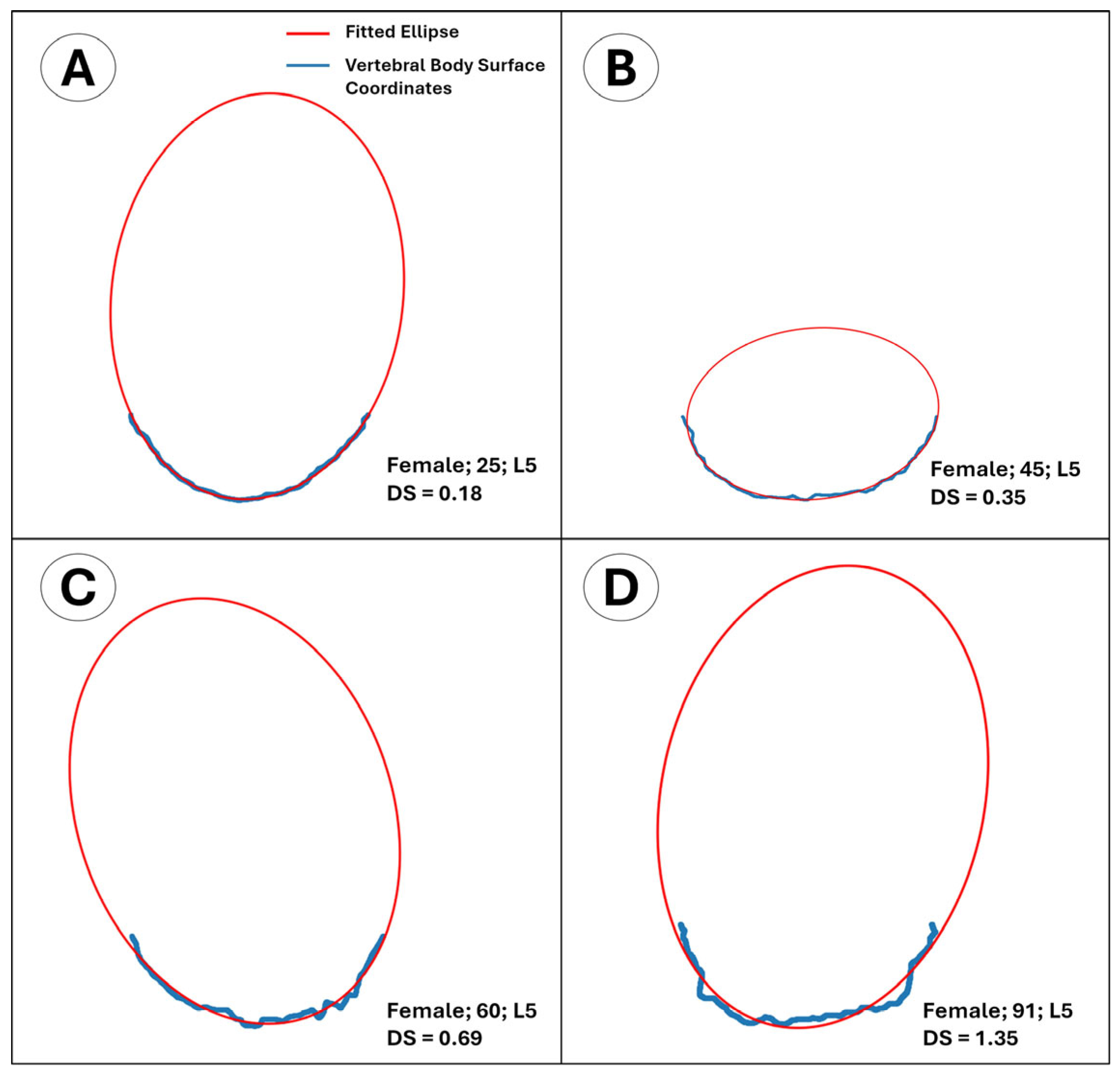 Diagnostics 15 01794 g004