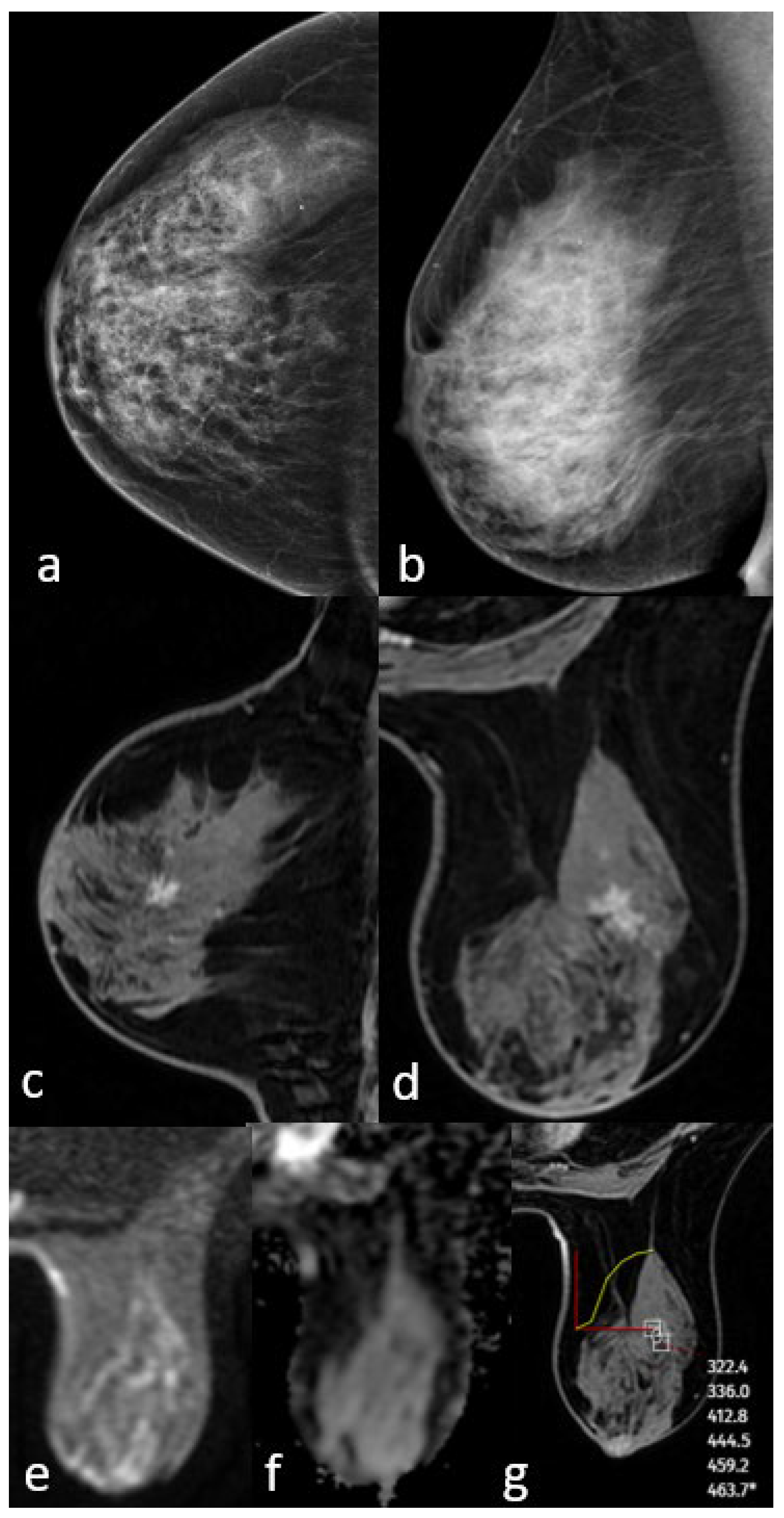 Diagnostics 15 01801 g002