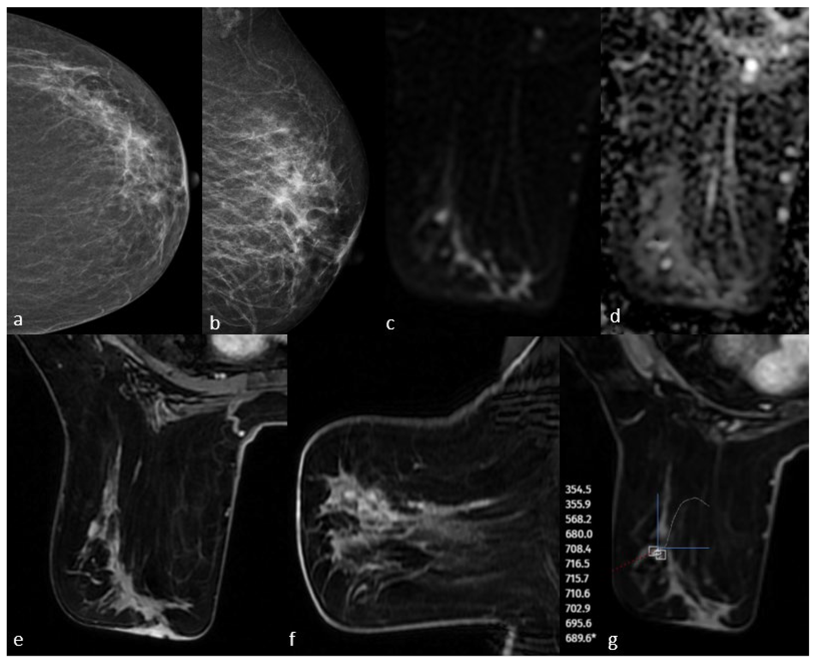 Diagnostics 15 01801 g003
