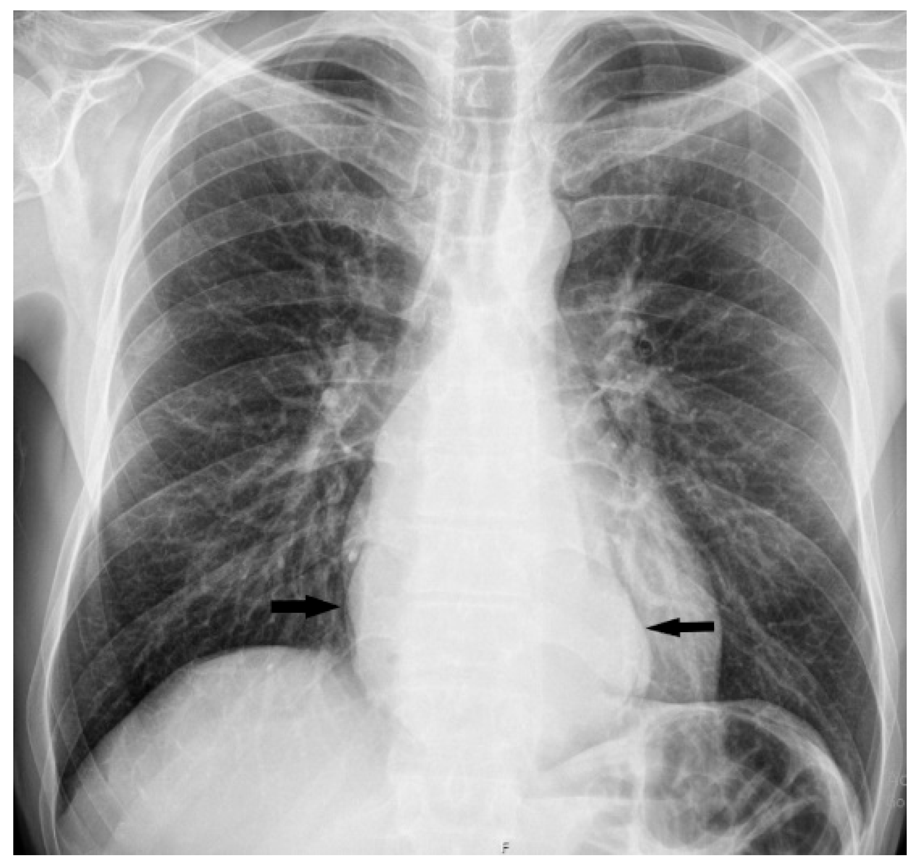 Diagnostics 15 01802 g001