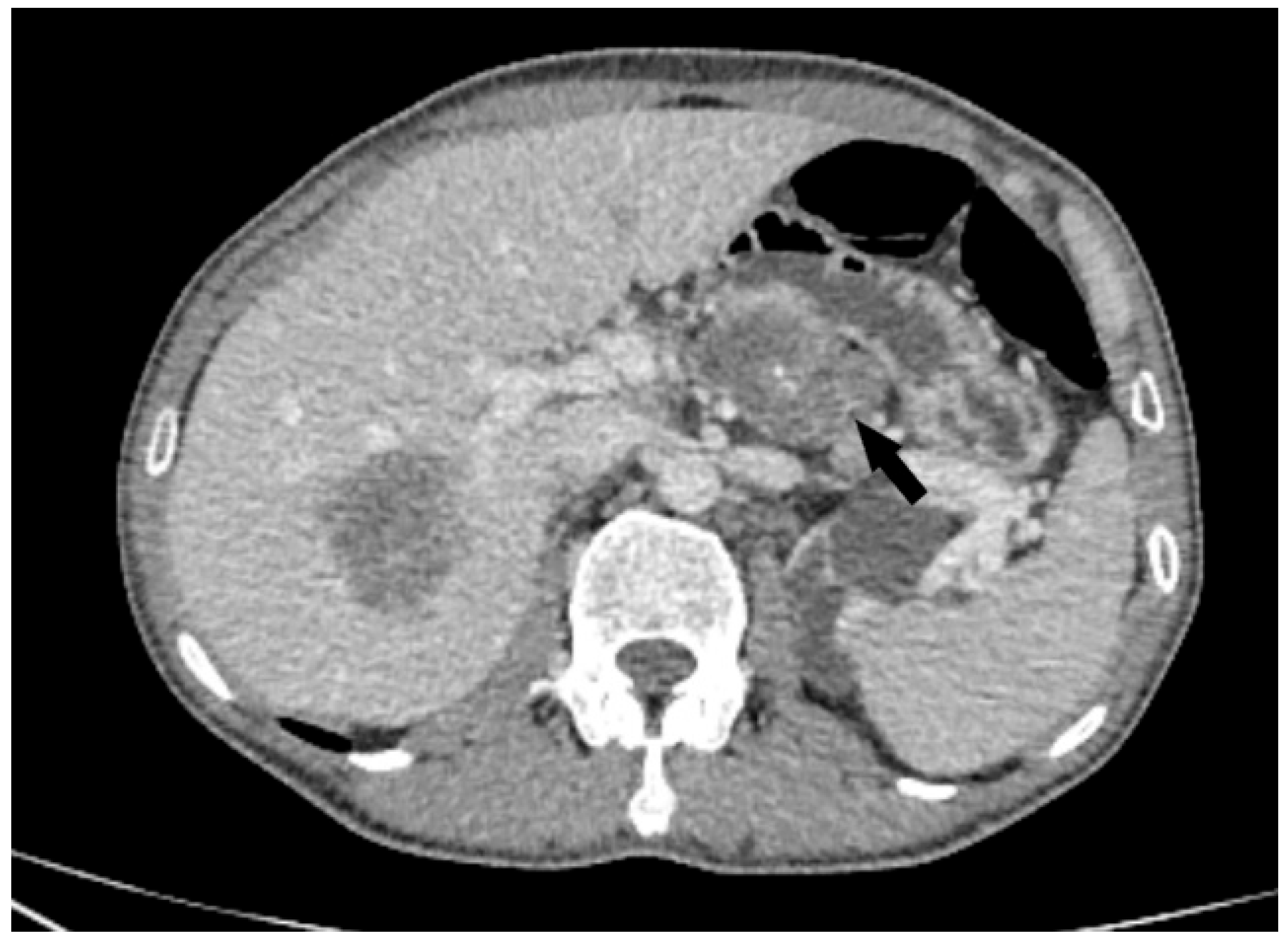 Diagnostics 15 01802 g003