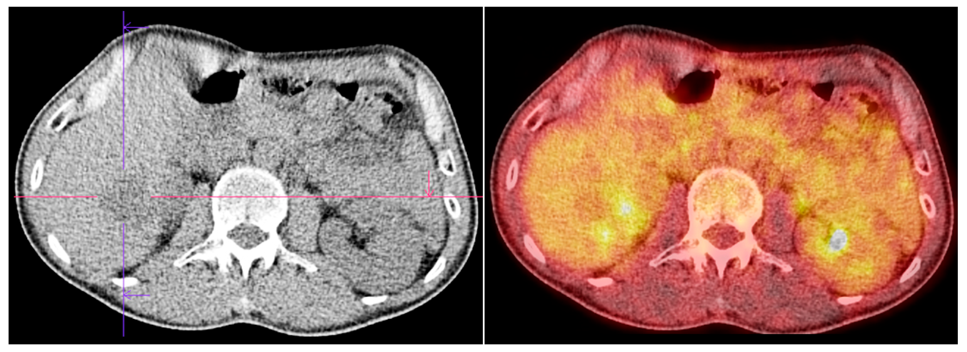 Diagnostics 15 01802 g007