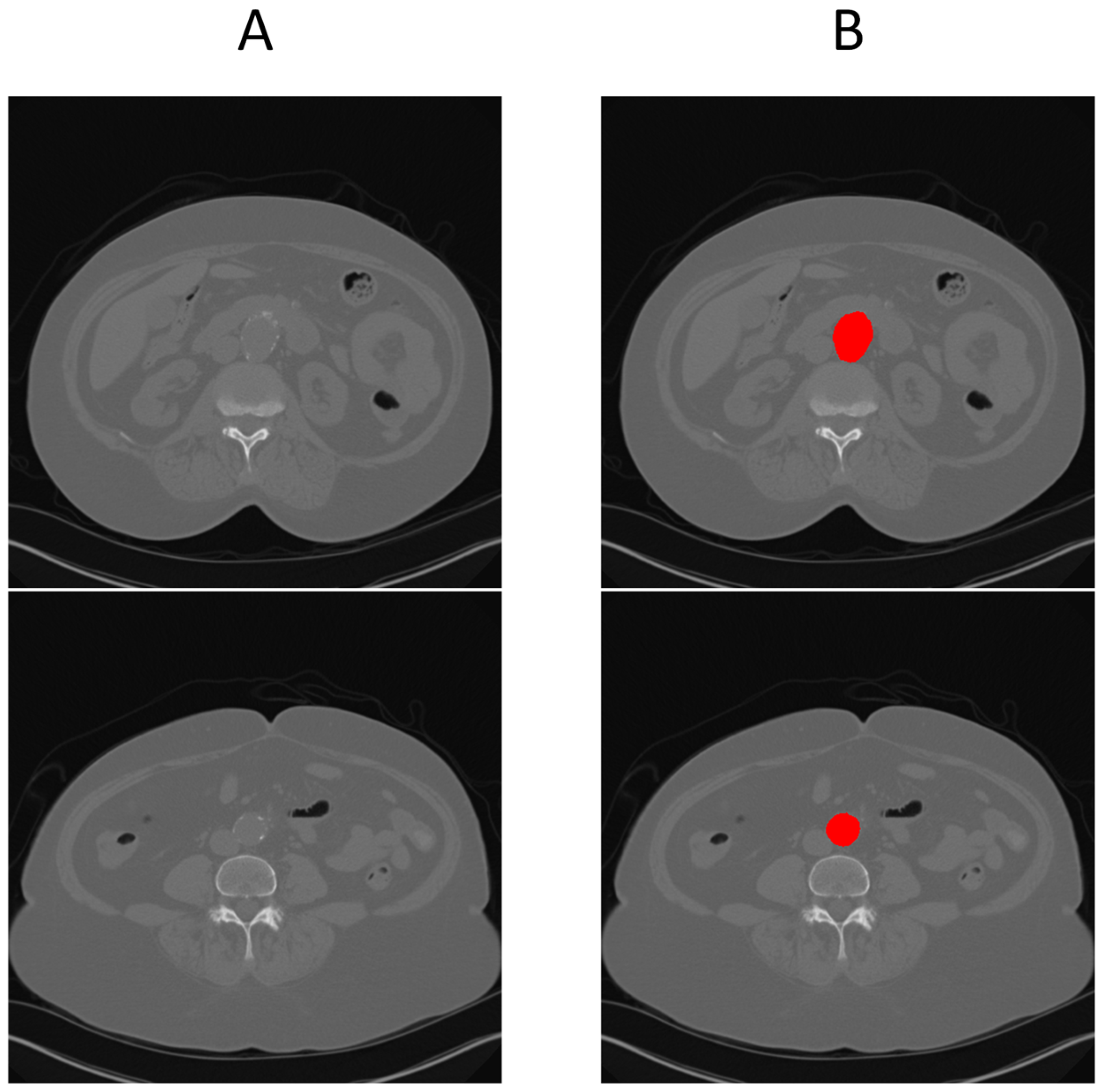 Diagnostics 15 01804 g004