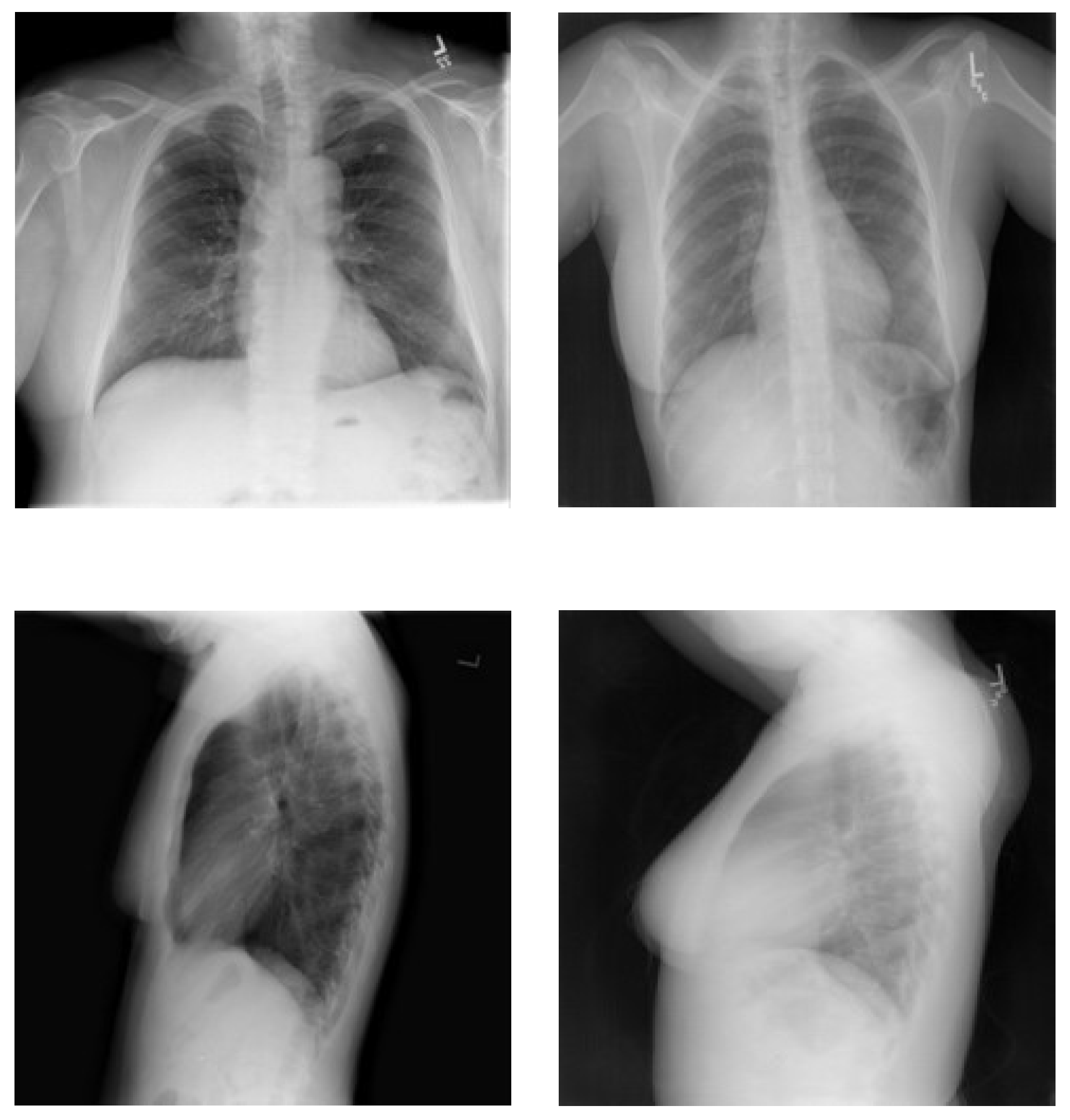 Diagnostics 15 01805 g001
