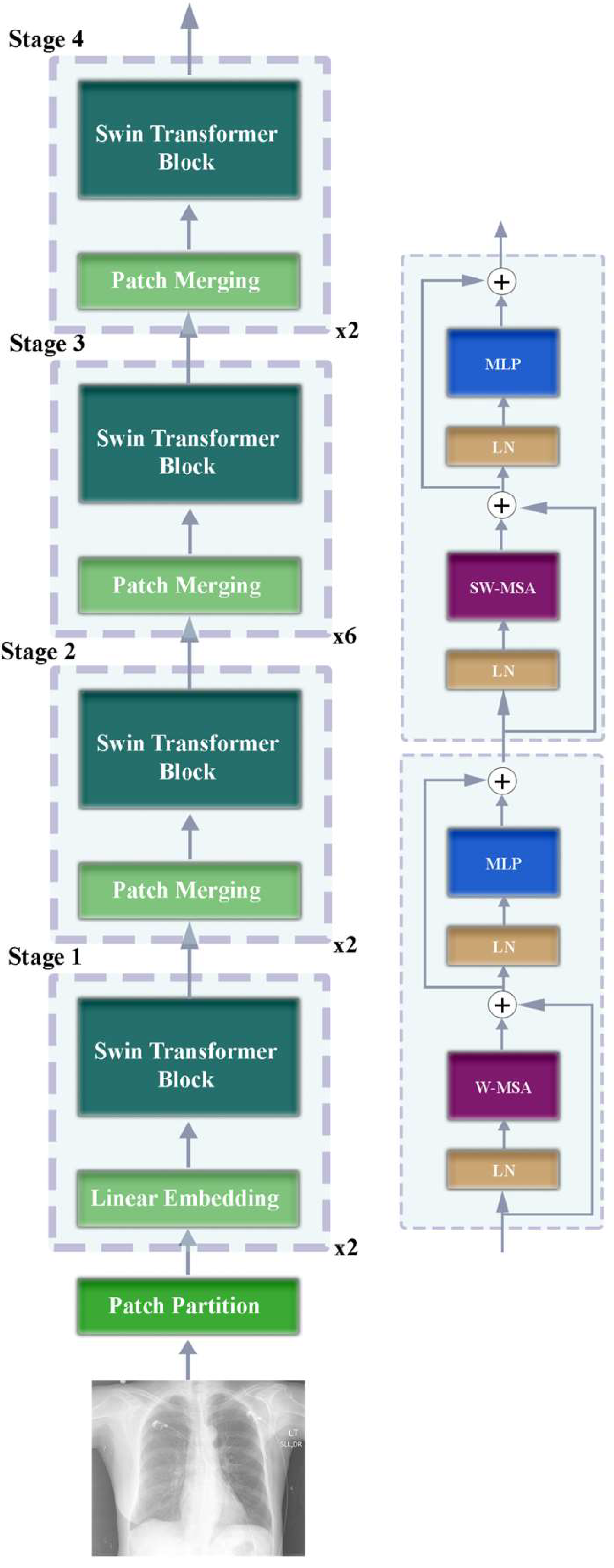 Diagnostics 15 01805 g003