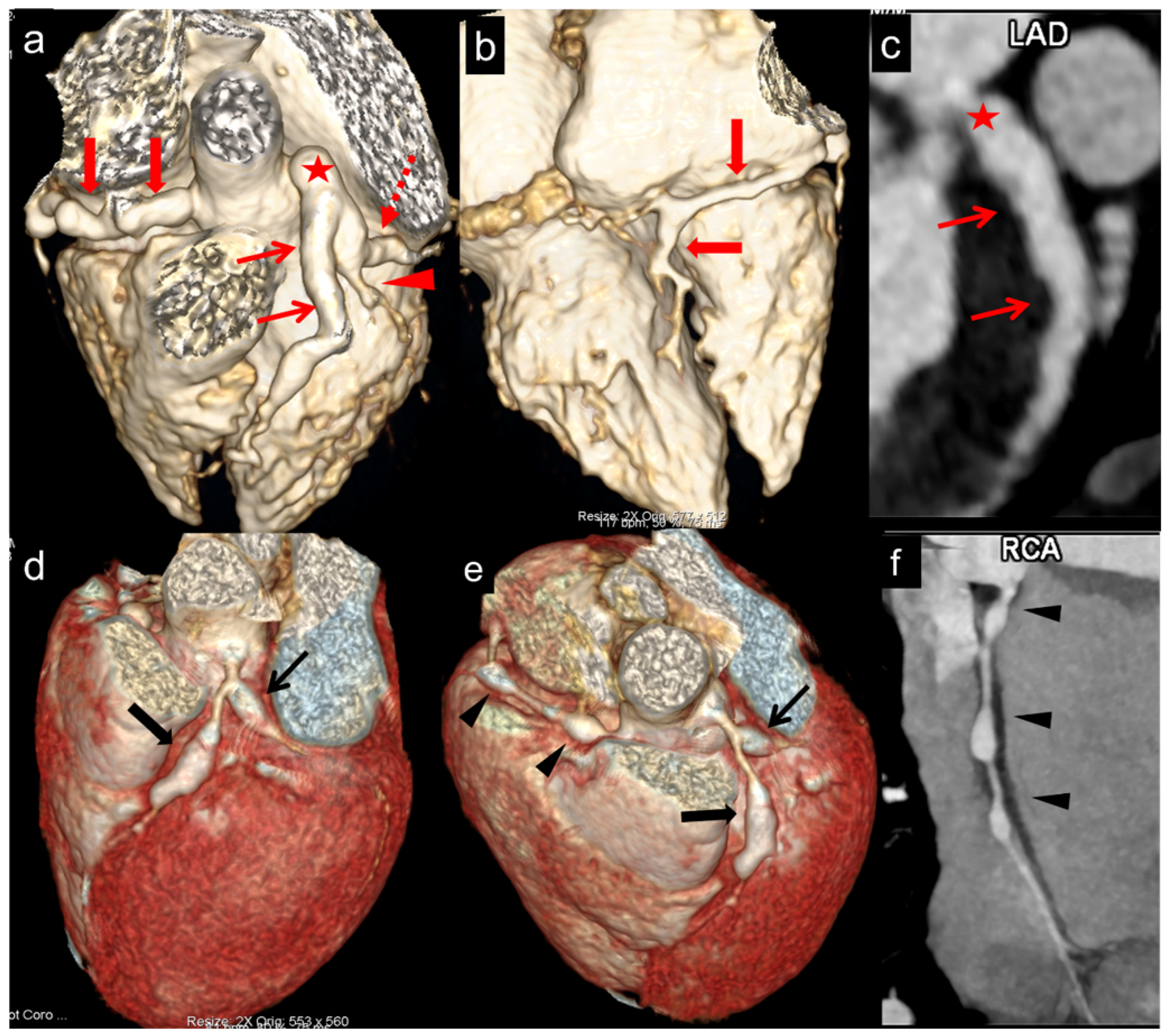 Diagnostics 15 01806 g004