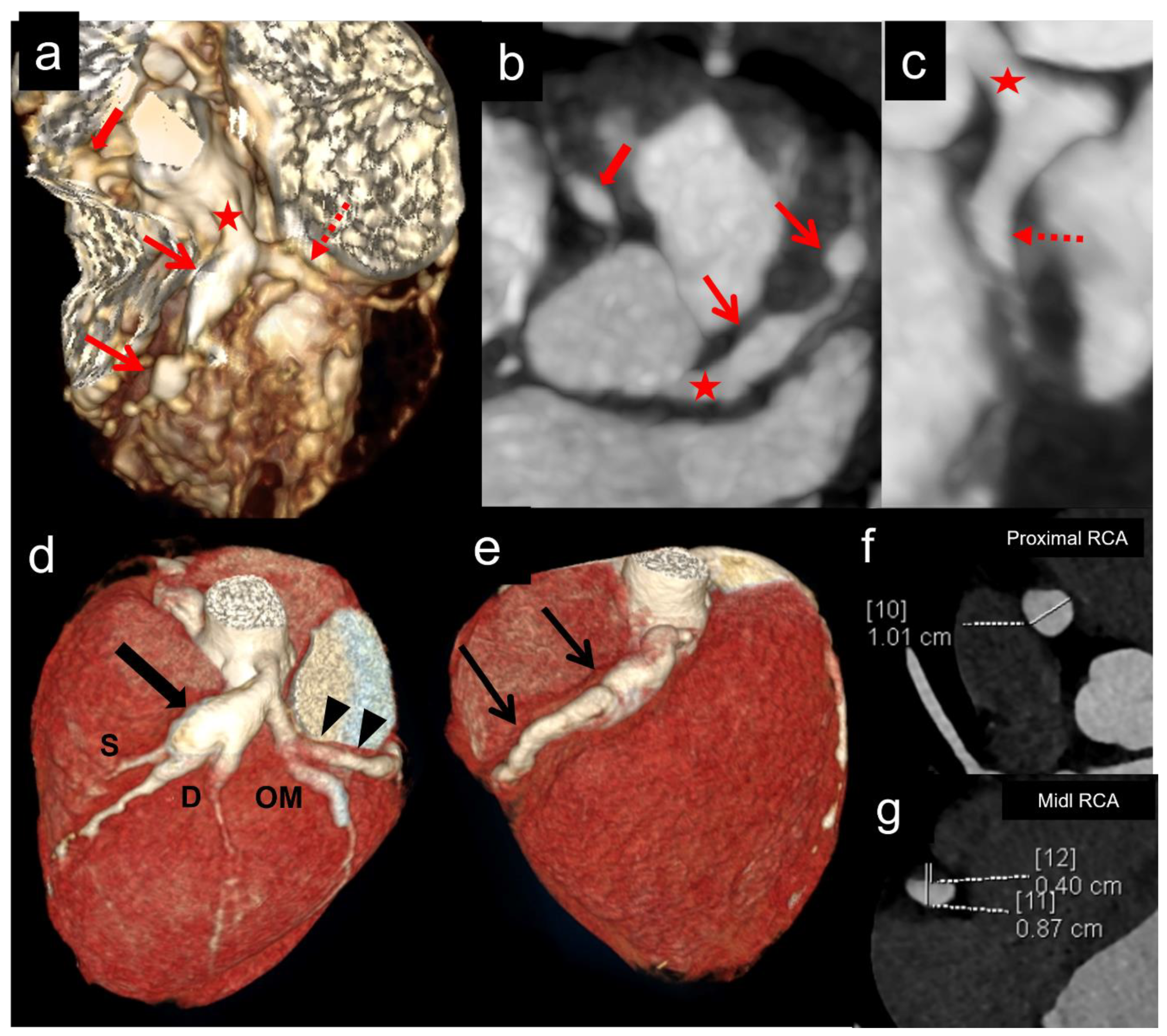 Diagnostics 15 01806 g005