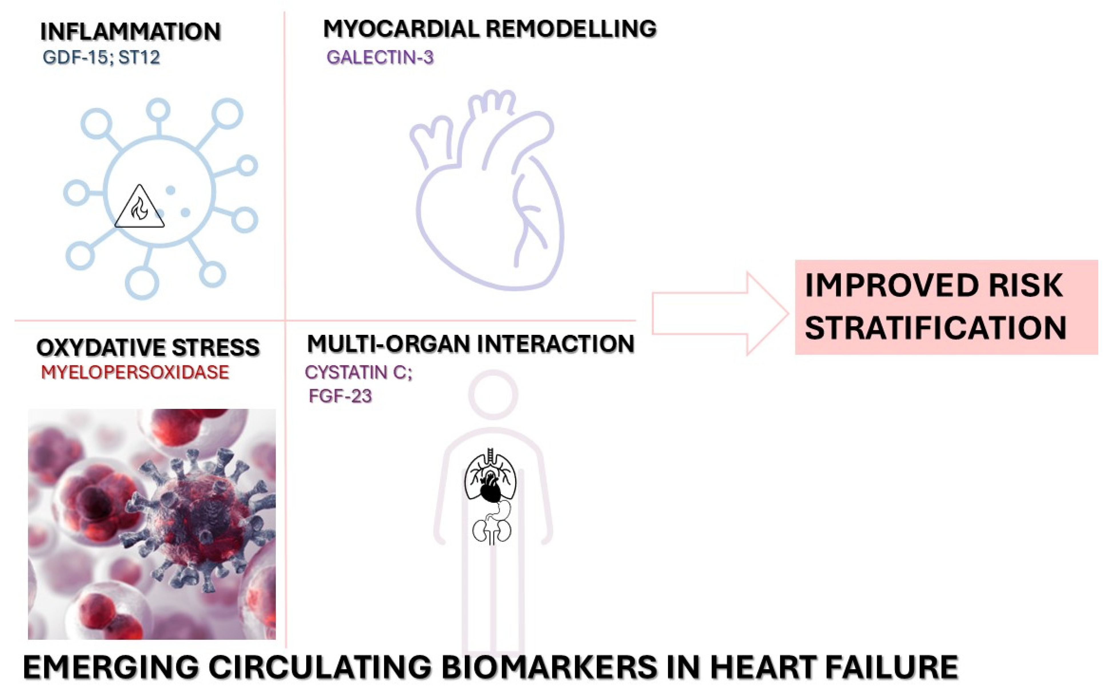 Diagnostics 15 01807 g001