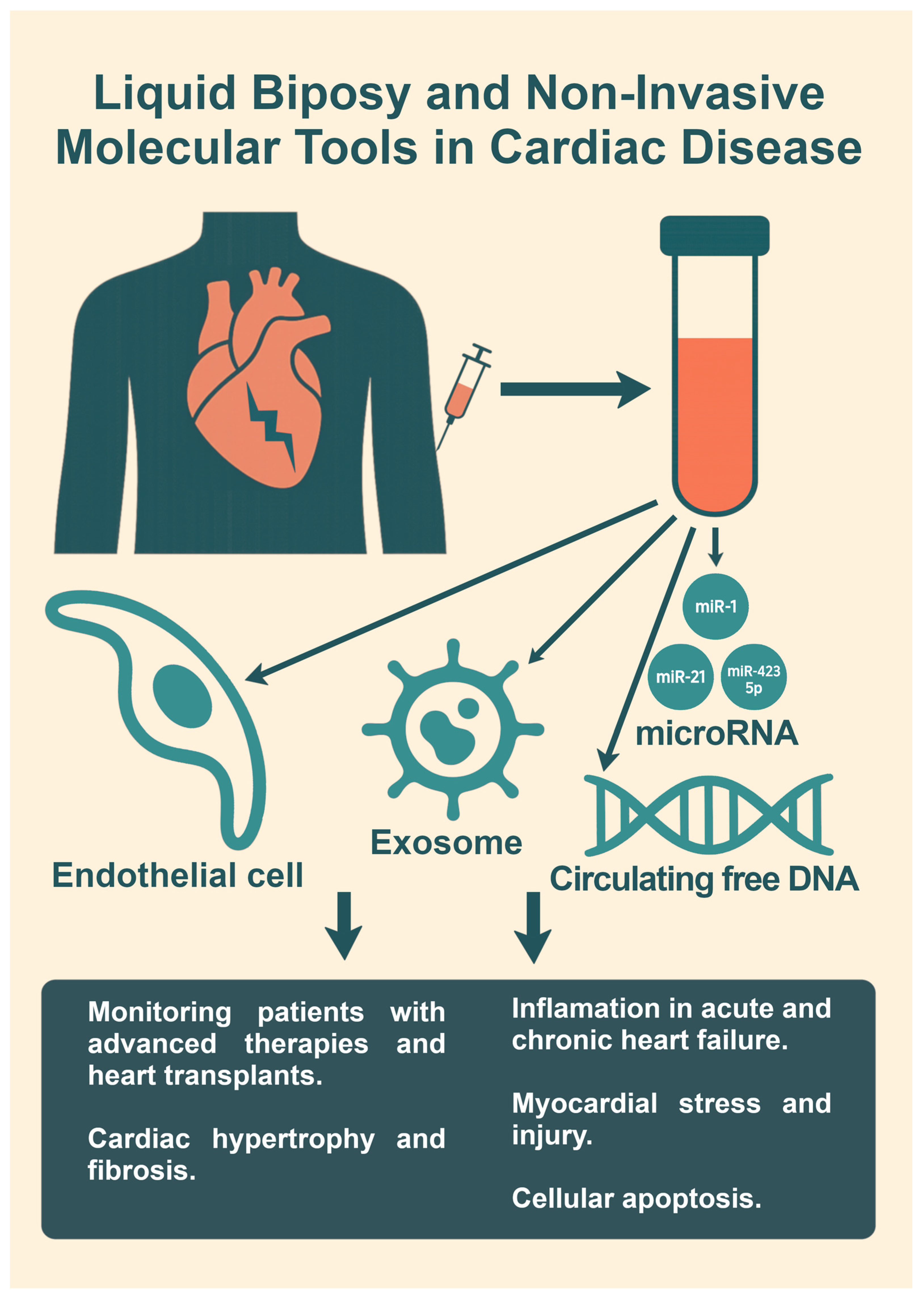 Diagnostics 15 01807 g002