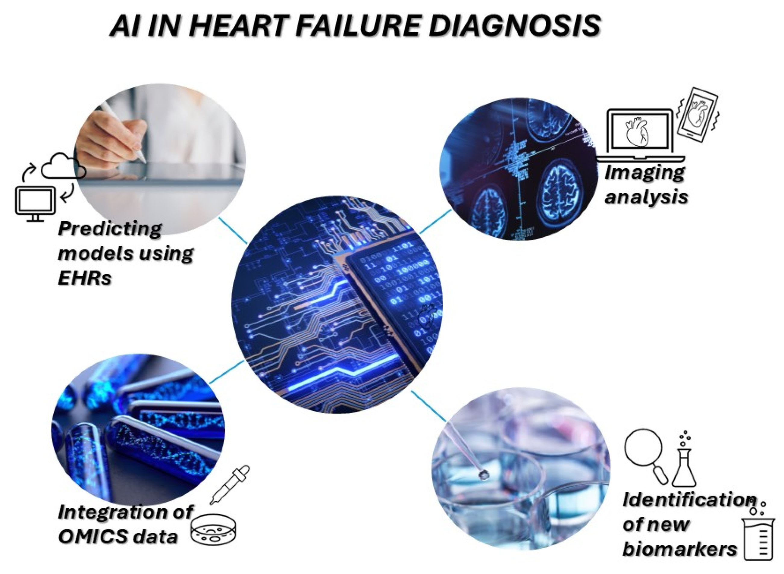 Diagnostics 15 01807 g003