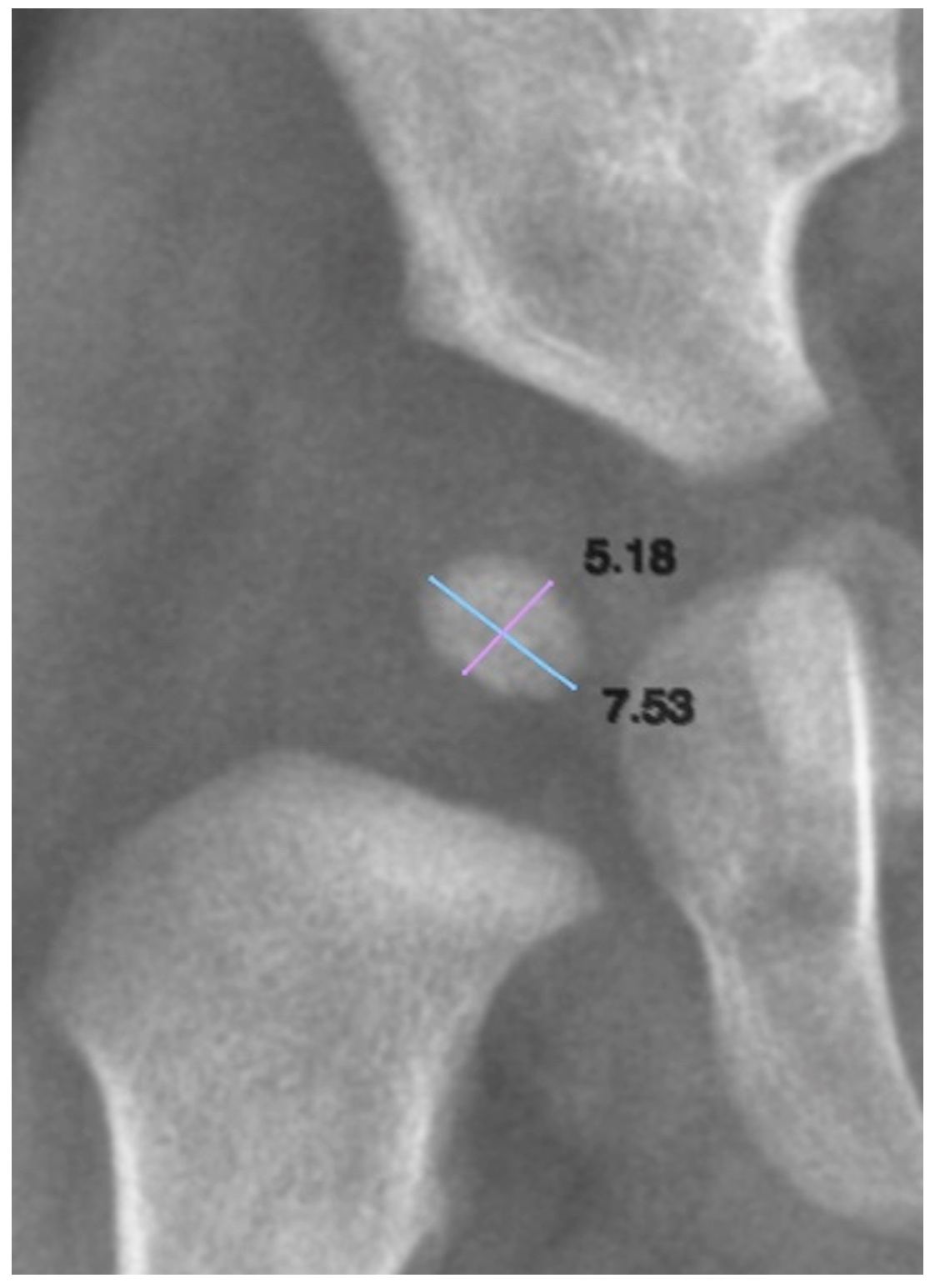 Diagnostics 15 01814 g002