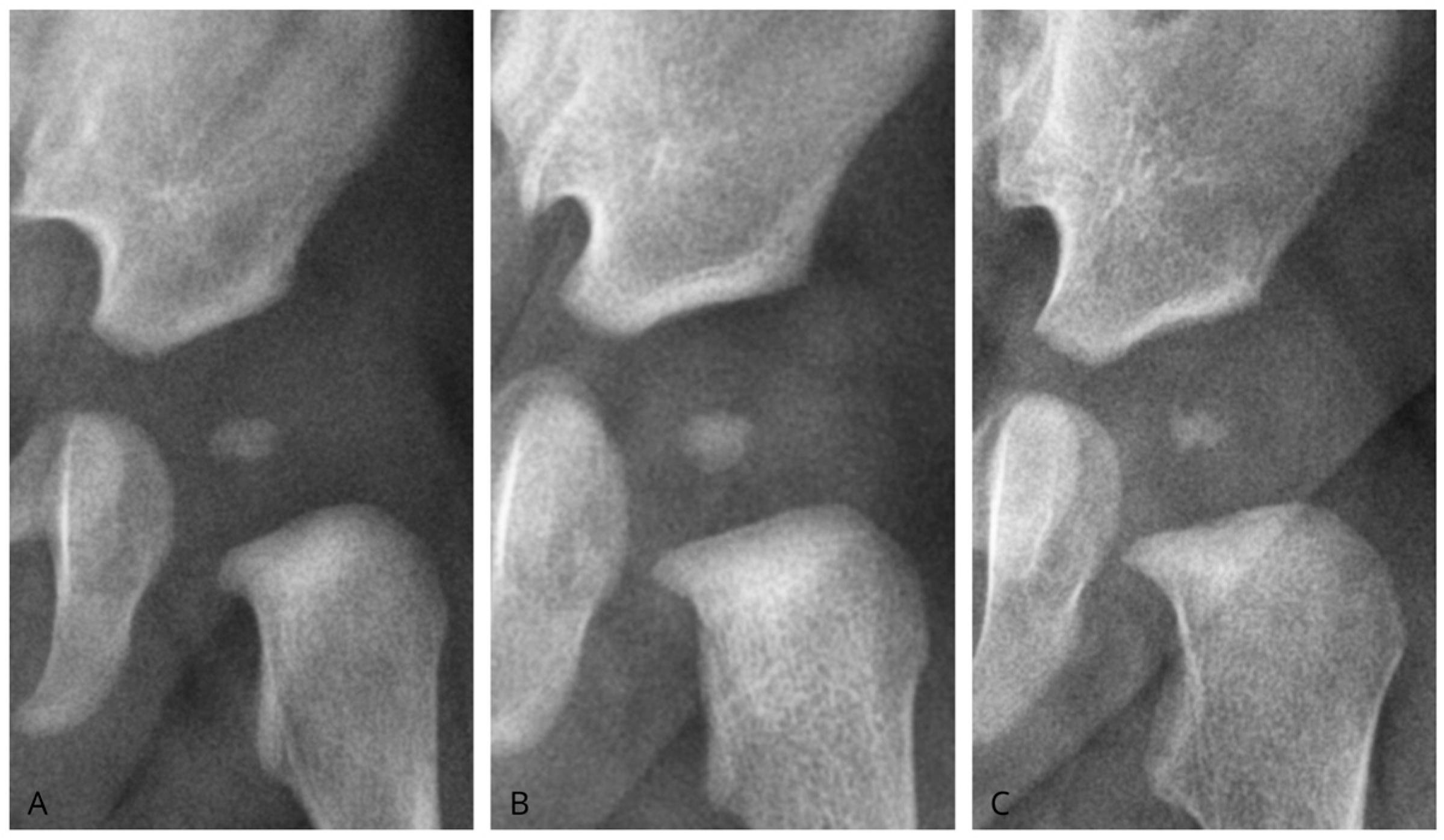 Diagnostics 15 01814 g003