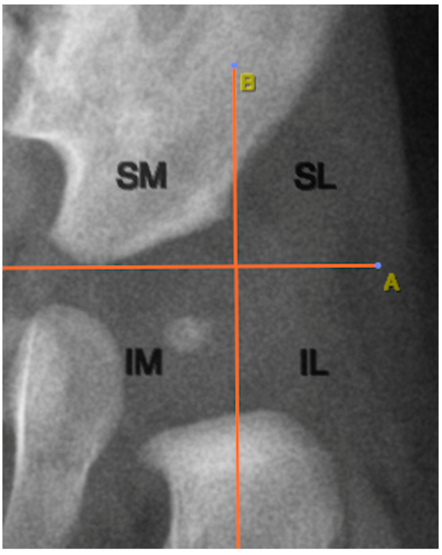 Diagnostics 15 01814 g004