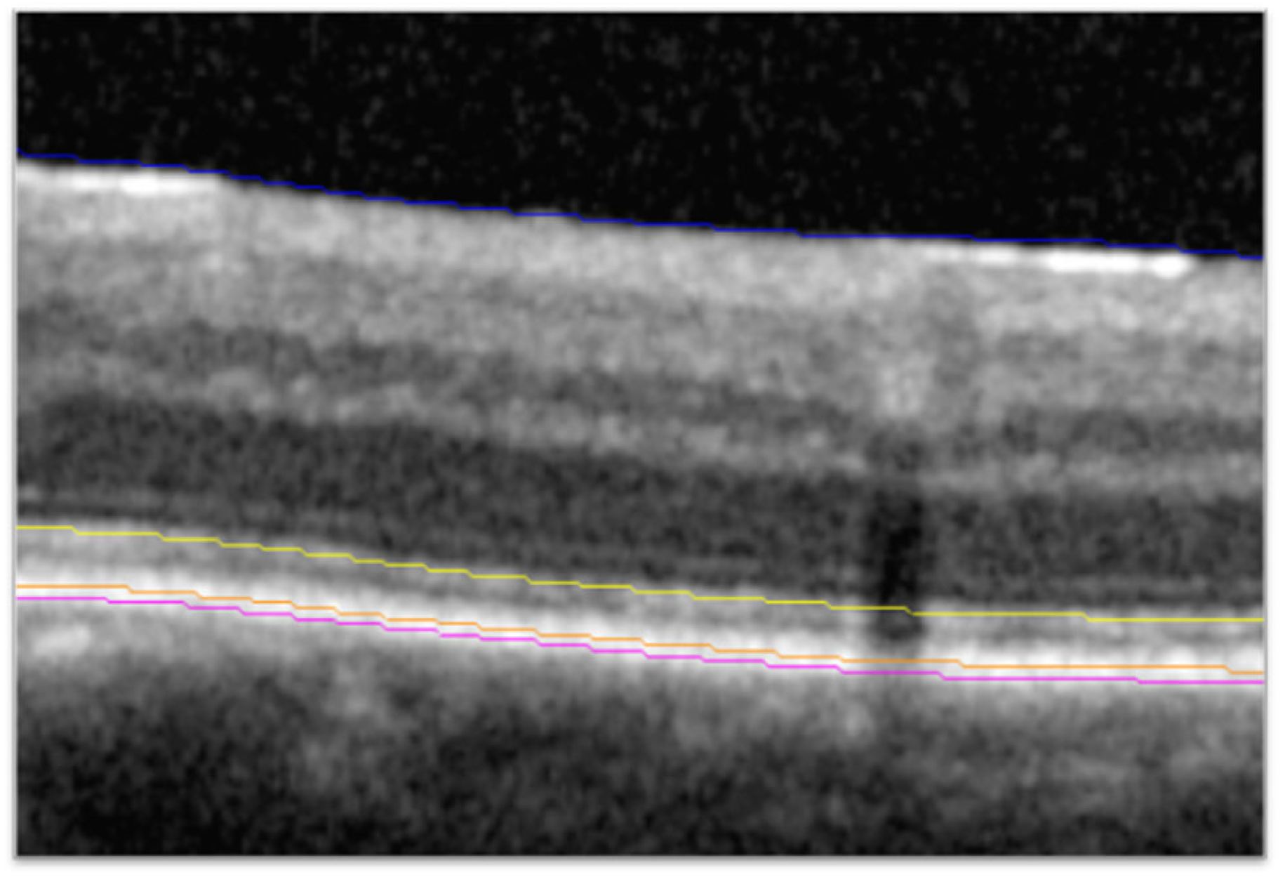 Diagnostics 15 01815 g001