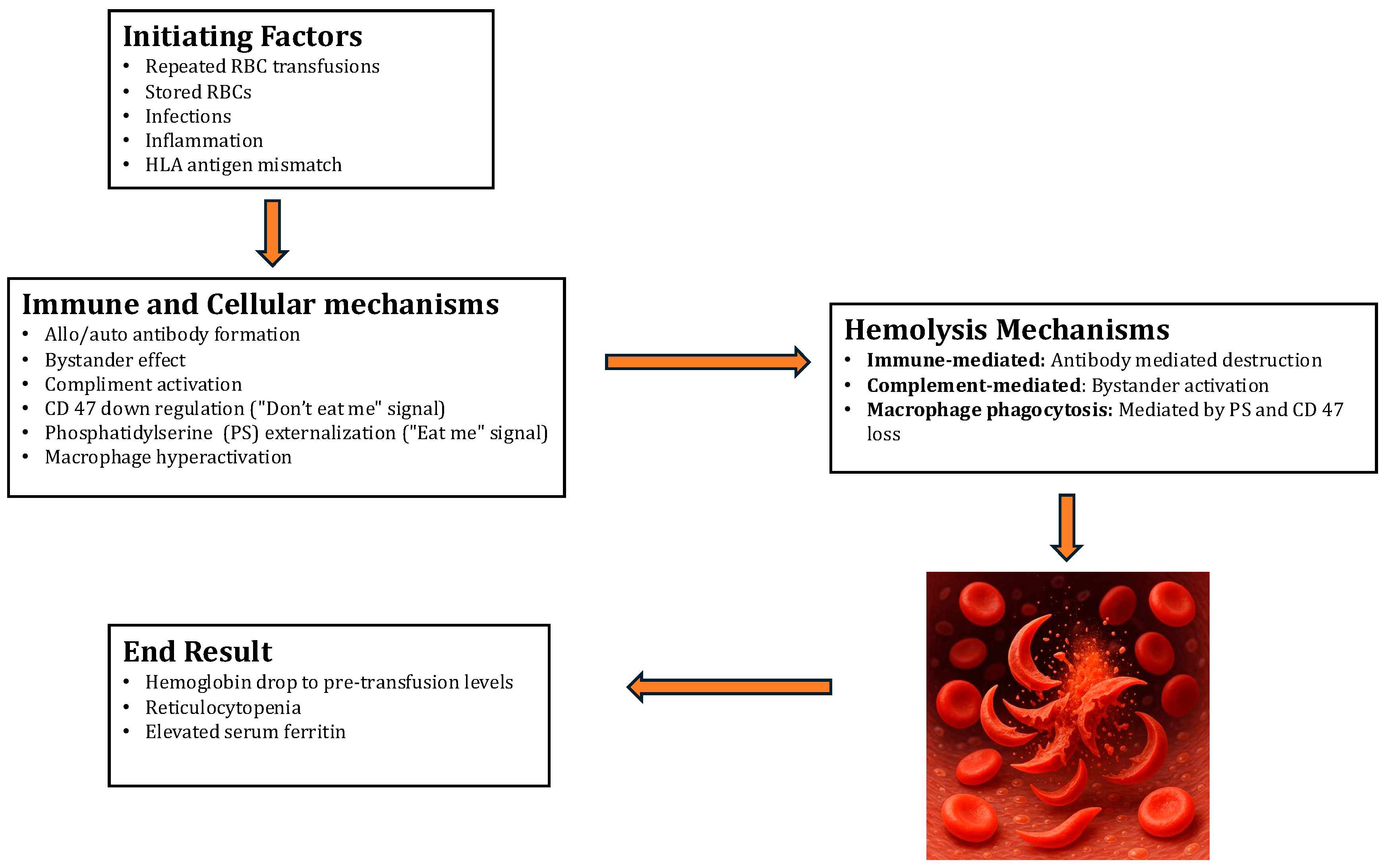 Diagnostics 15 01835 g001