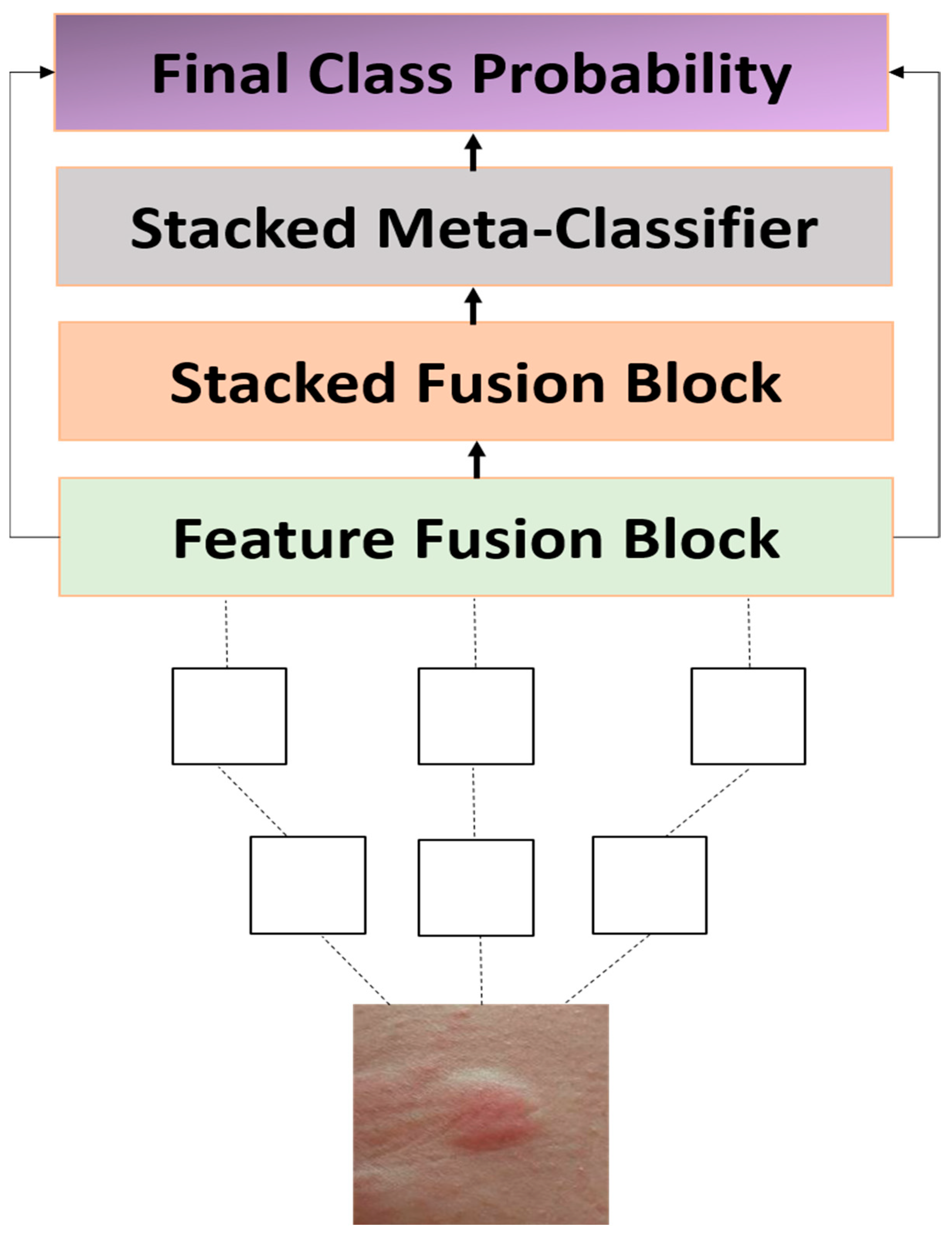 Diagnostics 15 01841 g001