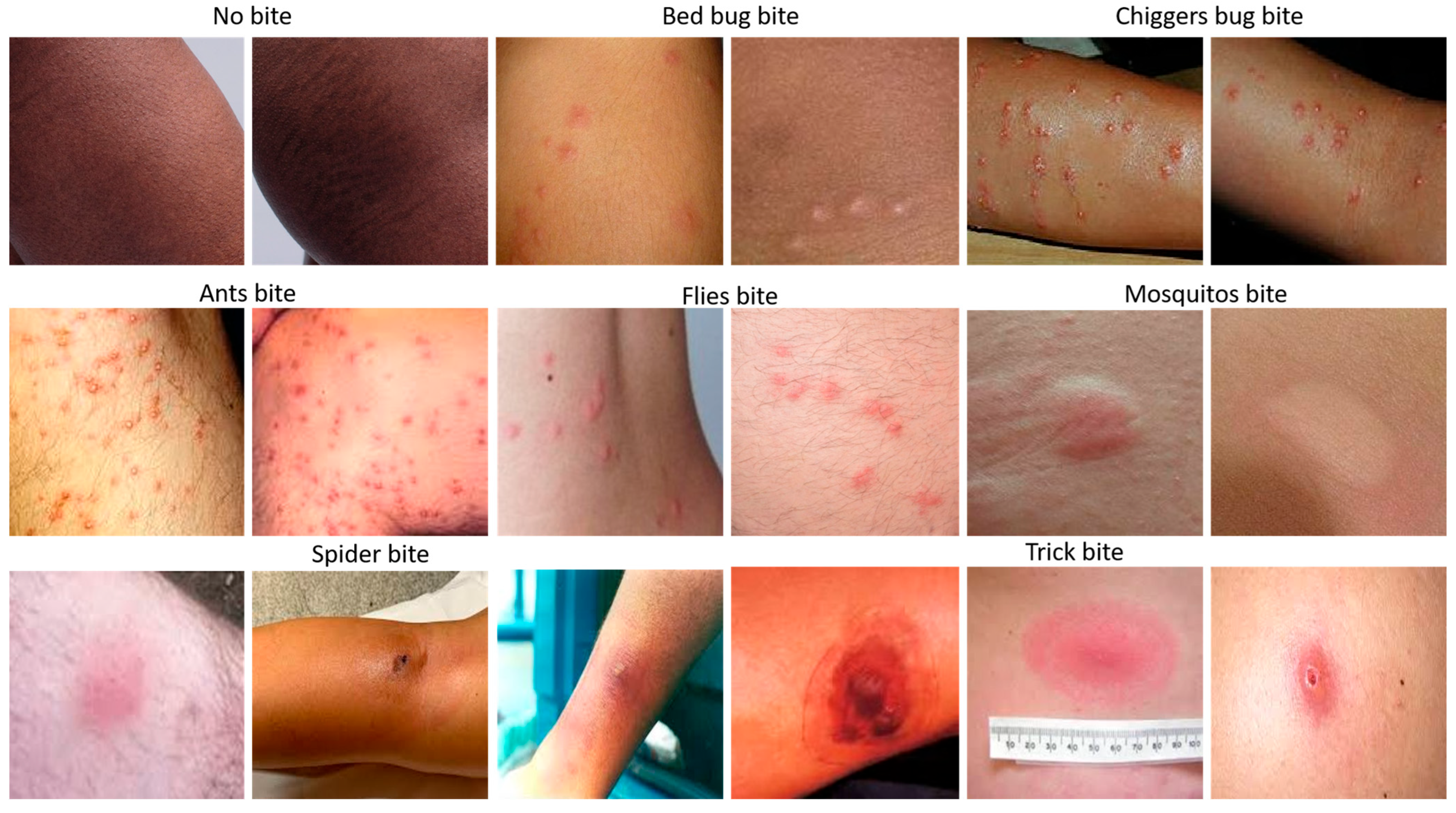 Diagnostics 15 01841 g003